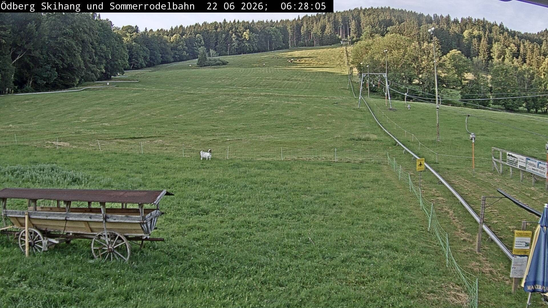 Archiv Foto Webcam Sommerrodelbahn Ödberg
