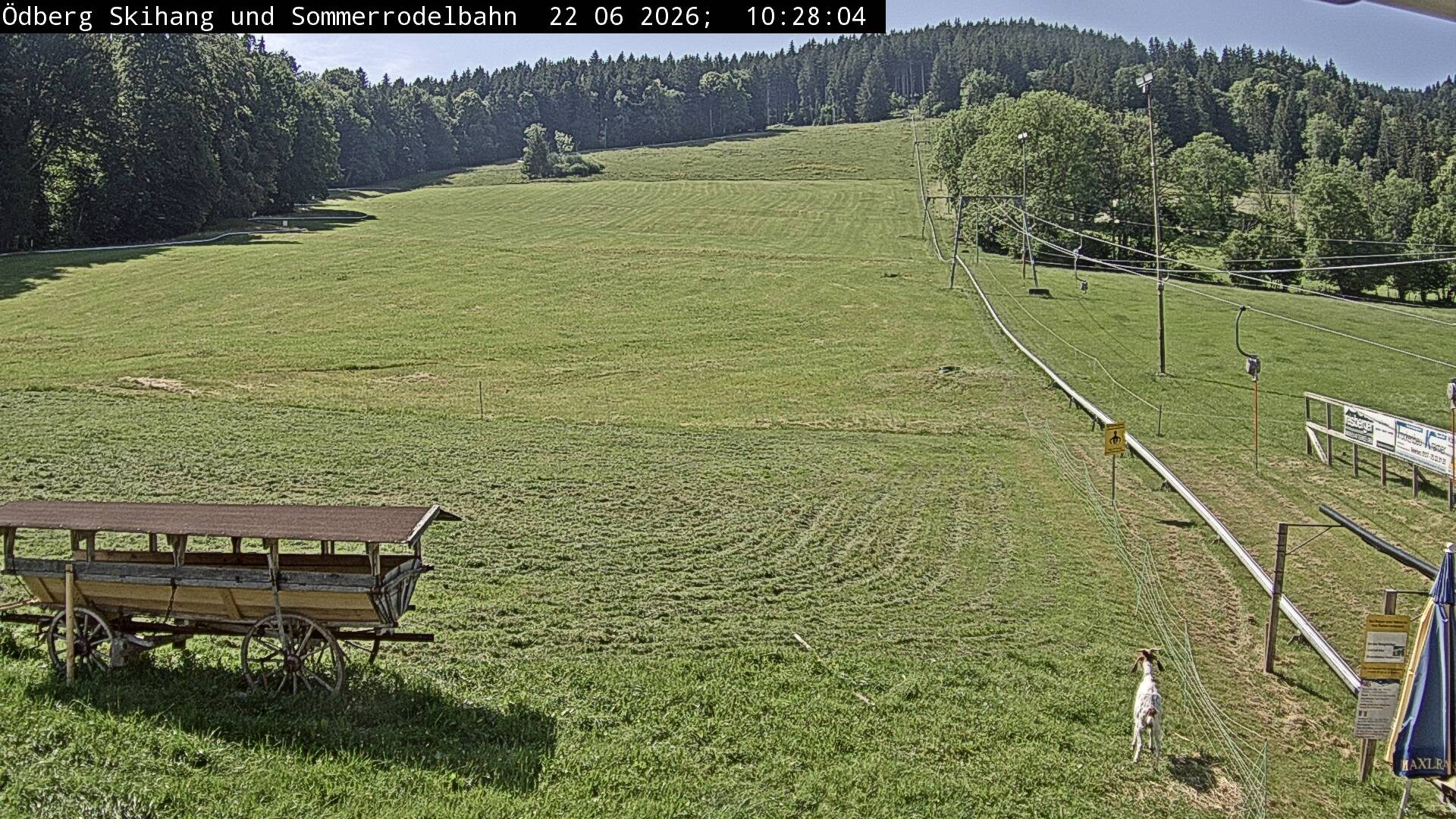 Archiv Foto Webcam Sommerrodelbahn Ödberg