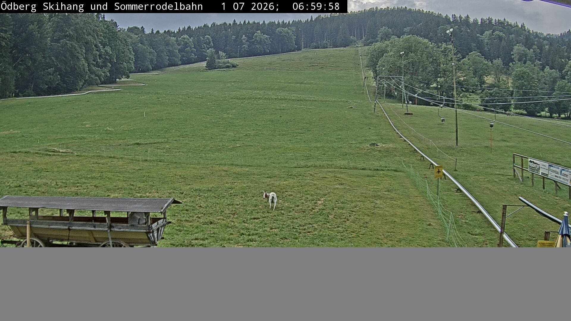 Archiv Foto Webcam Sommerrodelbahn Ödberg