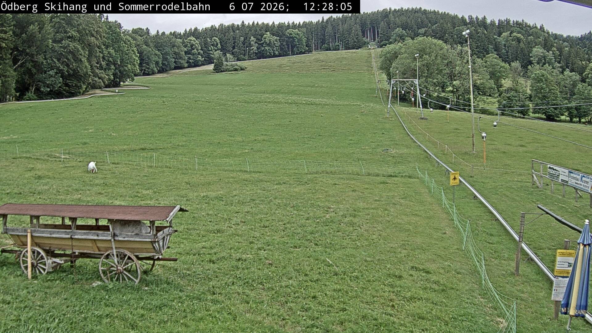 Archiv Foto Webcam Sommerrodelbahn Ödberg