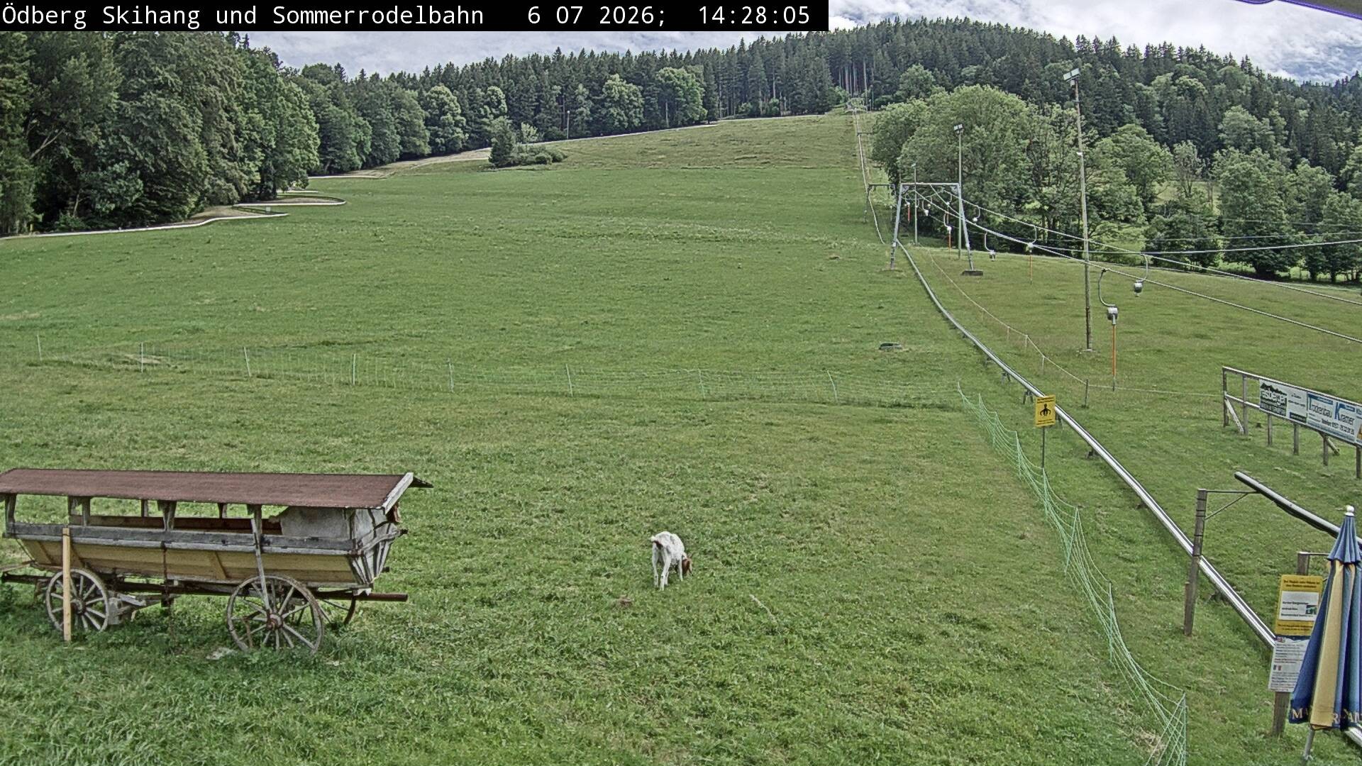 Archiv Foto Webcam Sommerrodelbahn Ödberg