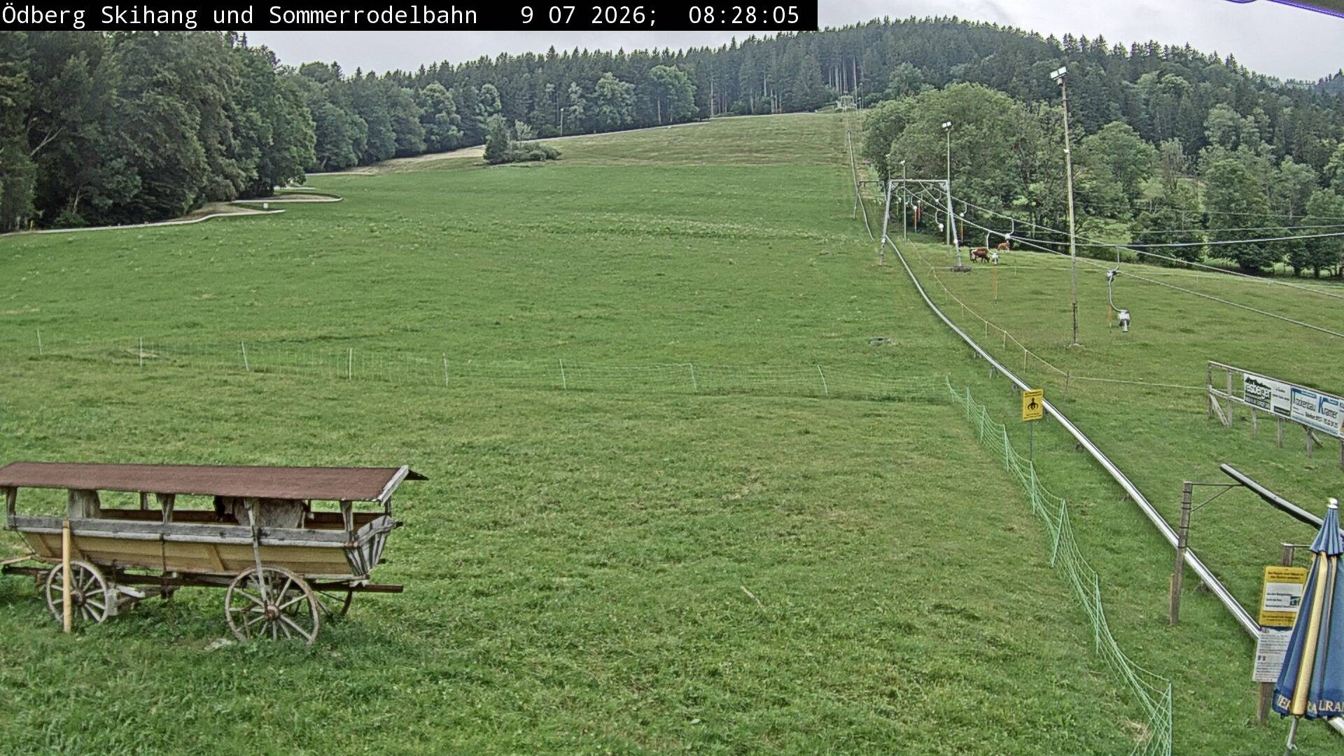 Archiv Foto Webcam Sommerrodelbahn Ödberg