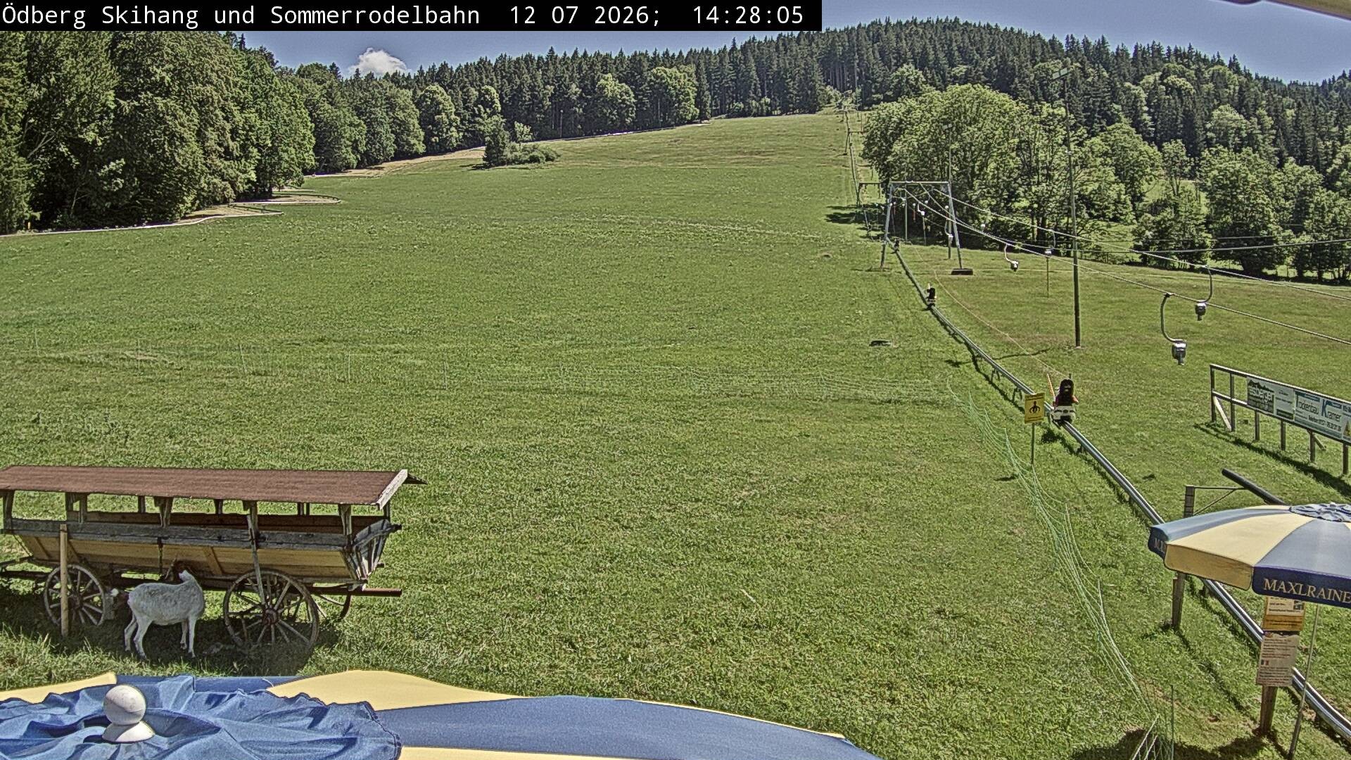 Archiv Foto Webcam Sommerrodelbahn Ödberg