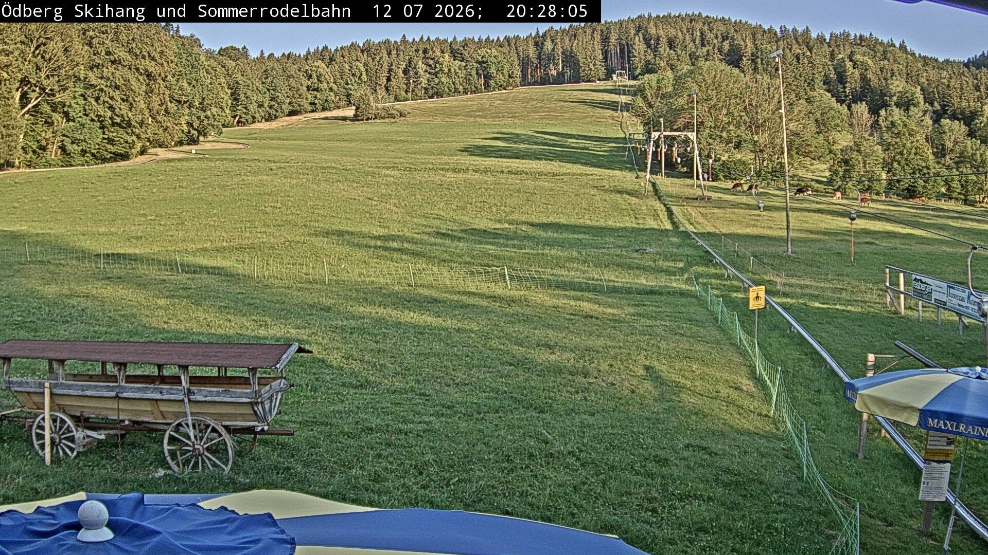 Archiv Foto Webcam Sommerrodelbahn Ödberg