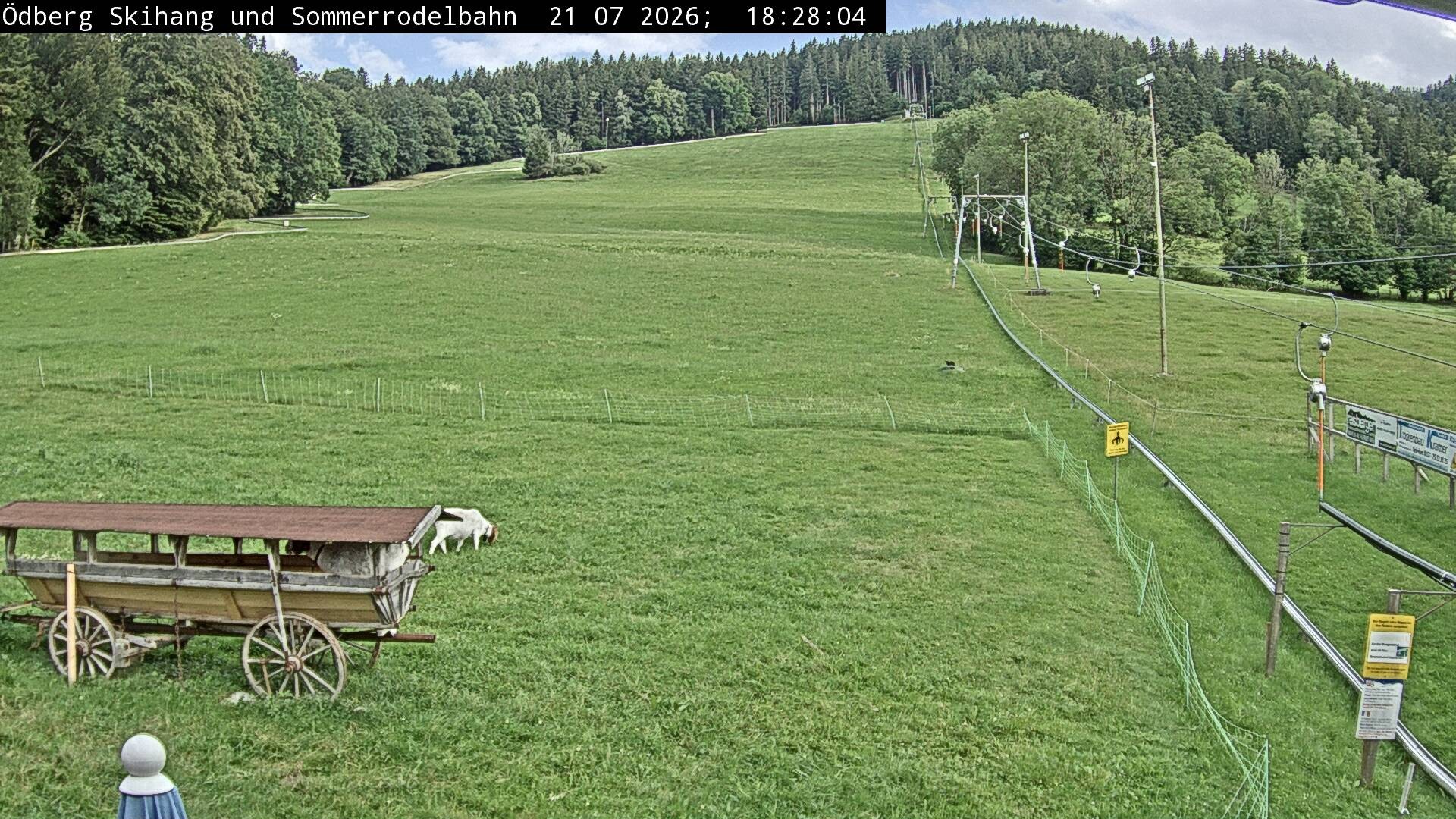 Archiv Foto Webcam Sommerrodelbahn Ödberg
