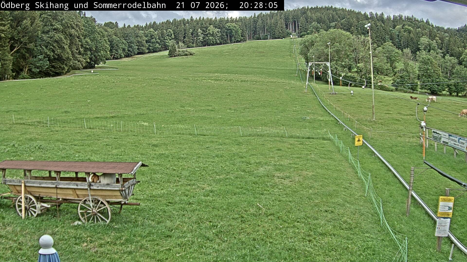Archiv Foto Webcam Sommerrodelbahn Ödberg