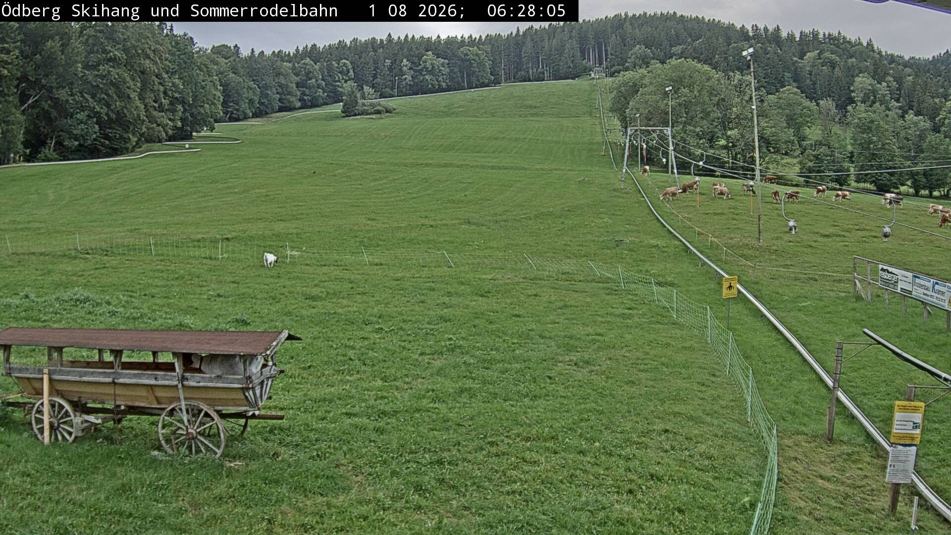 Archiv Foto Webcam Sommerrodelbahn Ödberg