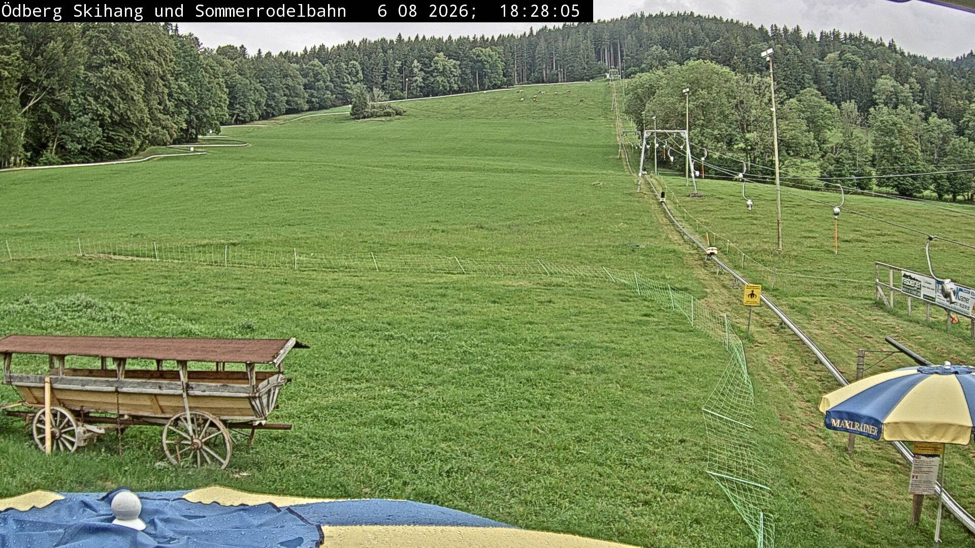 Archiv Foto Webcam Sommerrodelbahn Ödberg