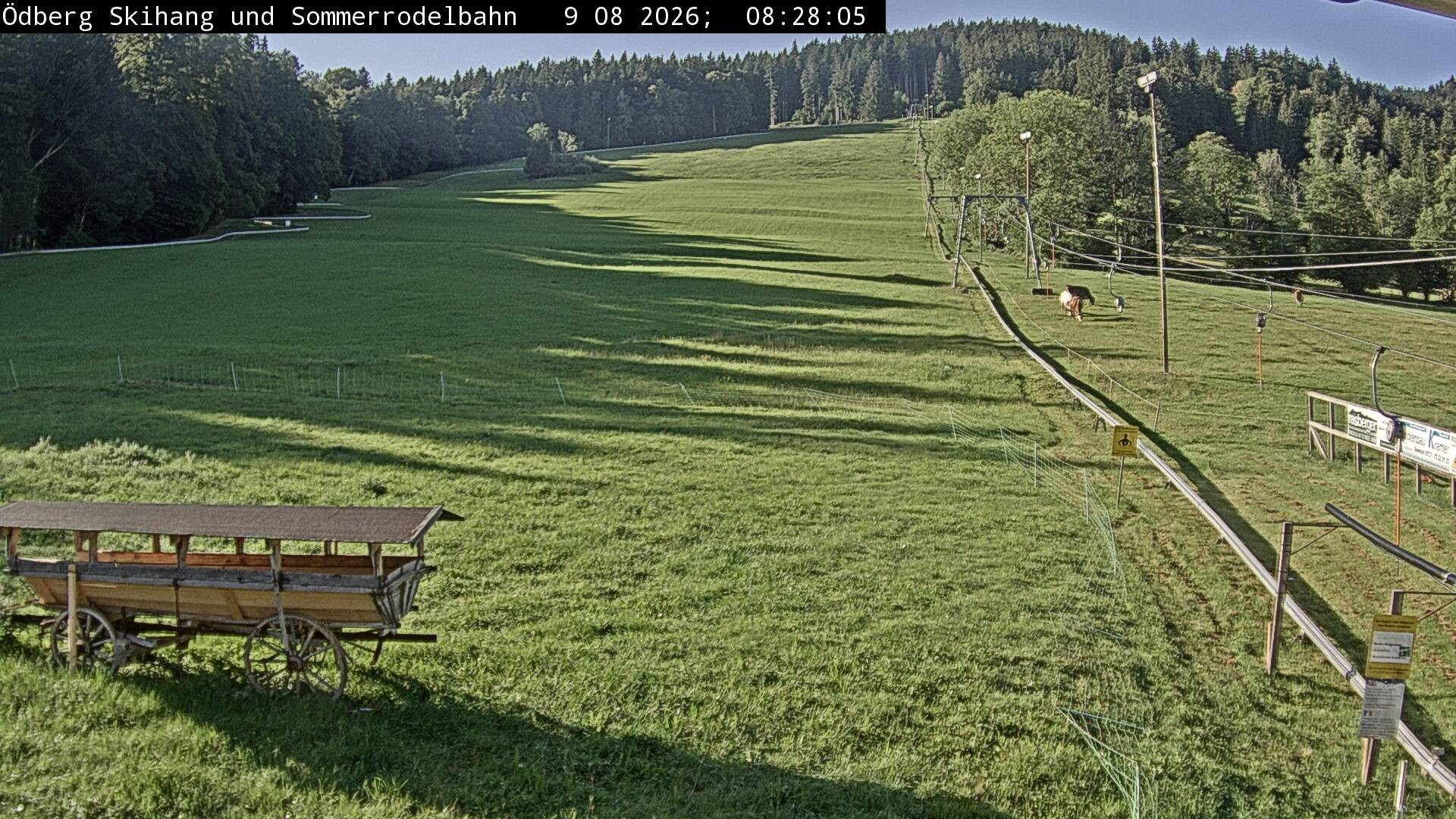 Archiv Foto Webcam Sommerrodelbahn Ödberg