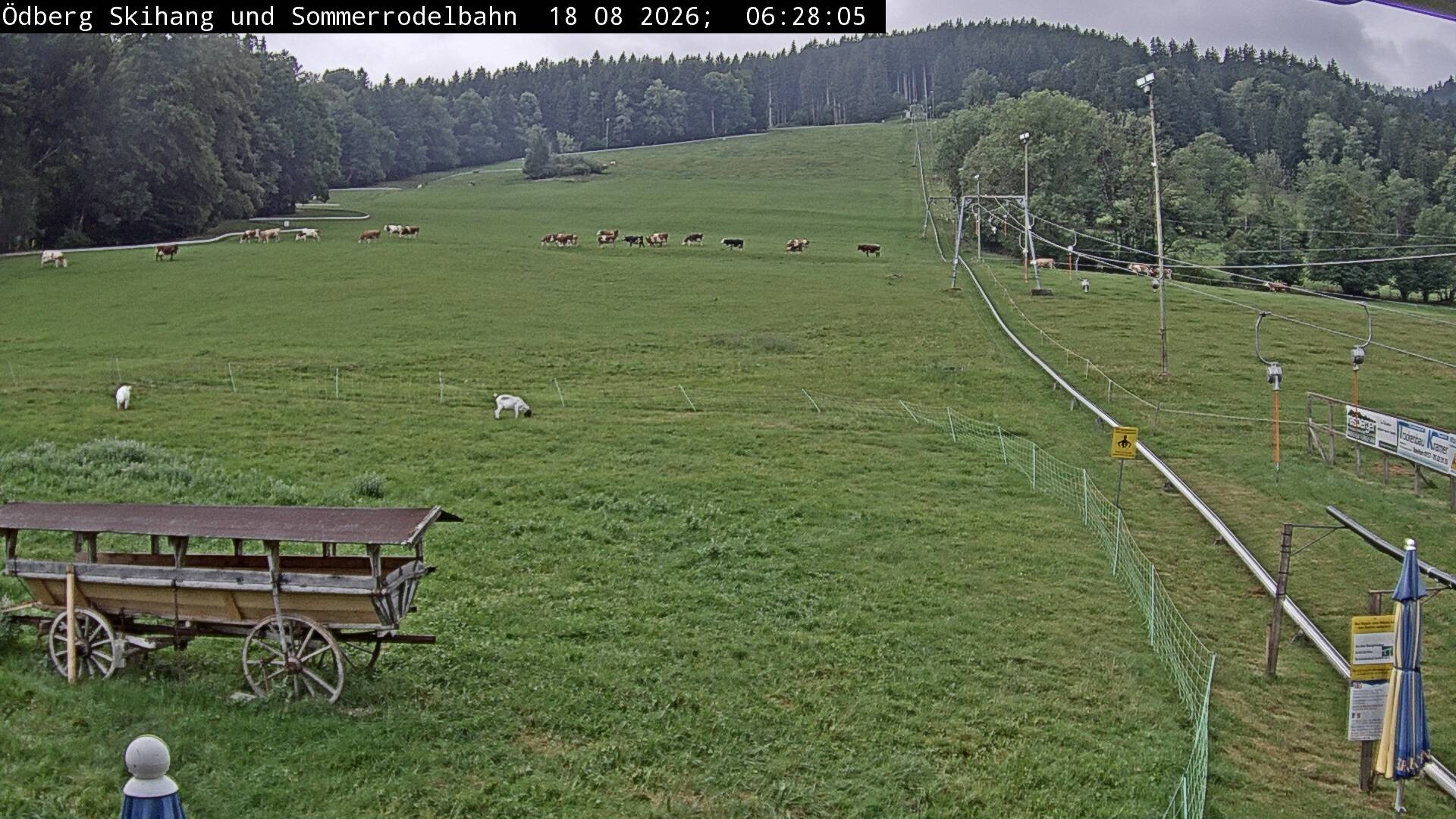 Archiv Foto Webcam Sommerrodelbahn Ödberg