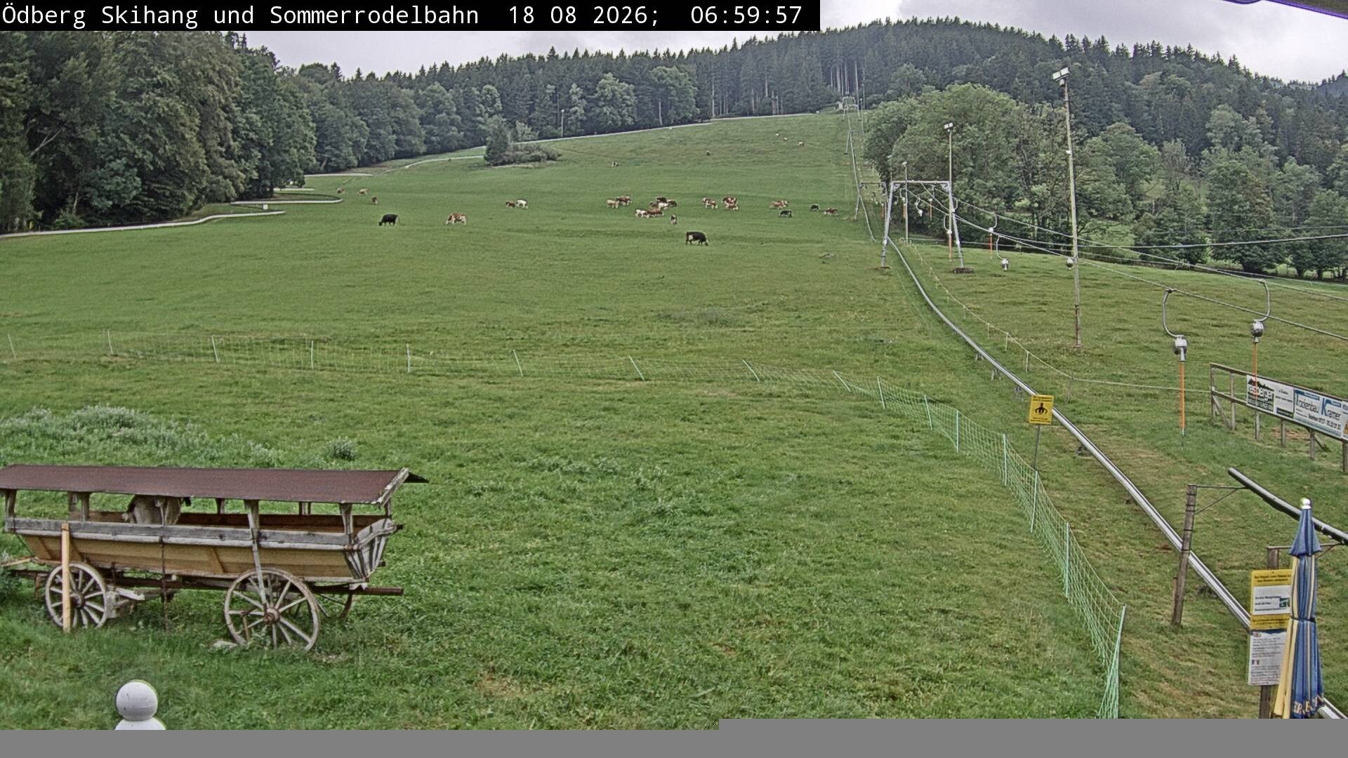 Archiv Foto Webcam Sommerrodelbahn Ödberg