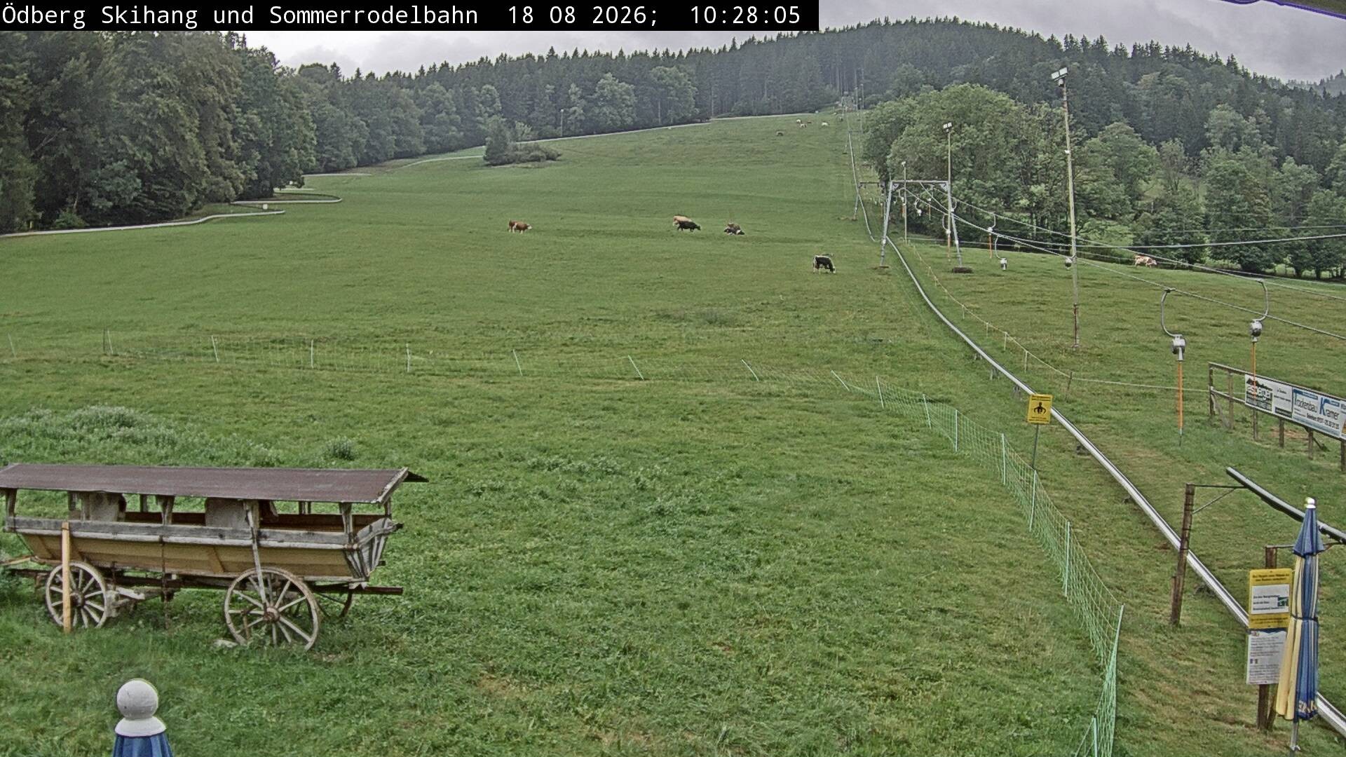 Archiv Foto Webcam Sommerrodelbahn Ödberg