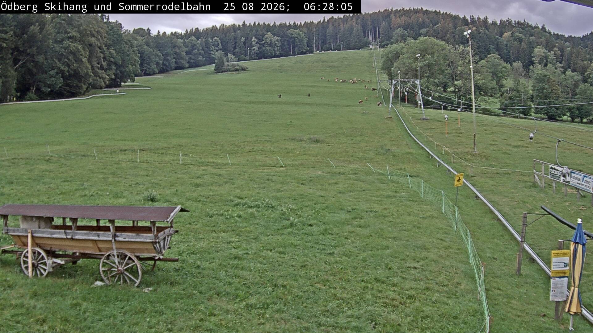 Archiv Foto Webcam Sommerrodelbahn Ödberg