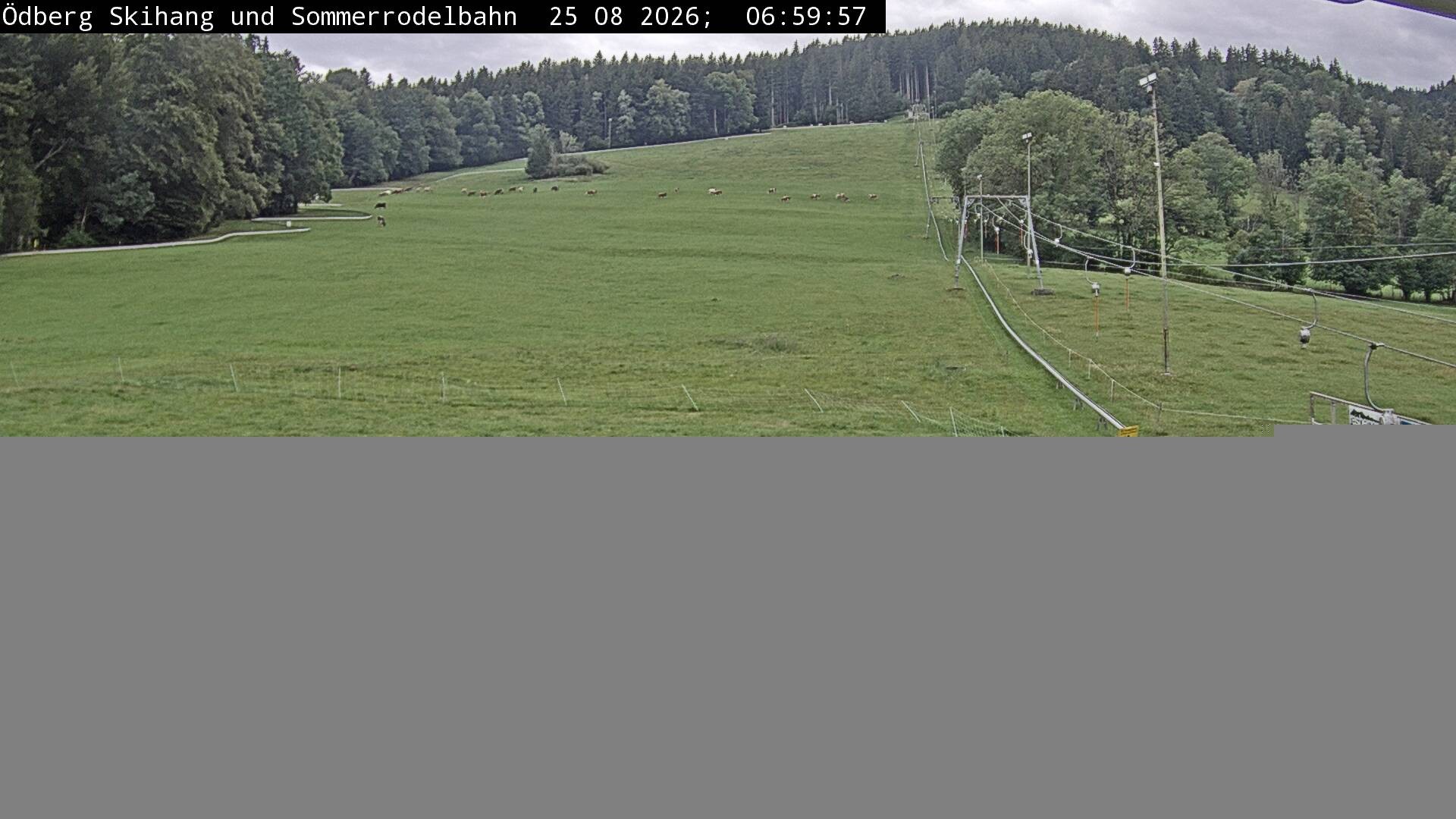 Archiv Foto Webcam Sommerrodelbahn Ödberg