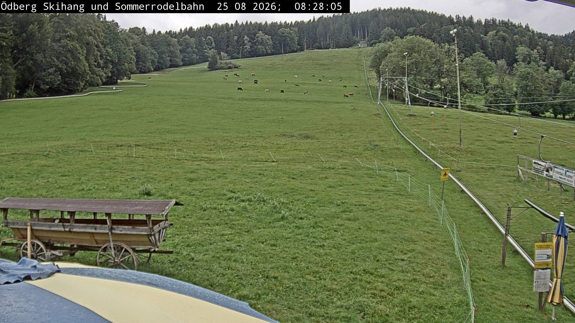Archiv Foto Webcam Sommerrodelbahn Ödberg