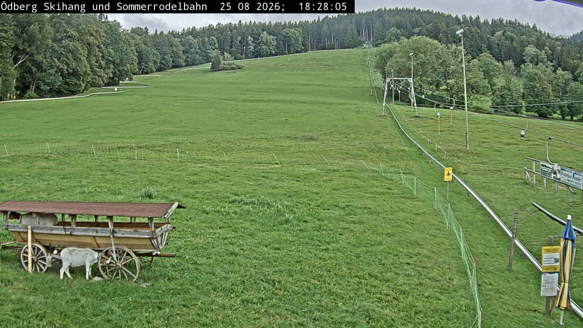 Archiv Foto Webcam Sommerrodelbahn Ödberg