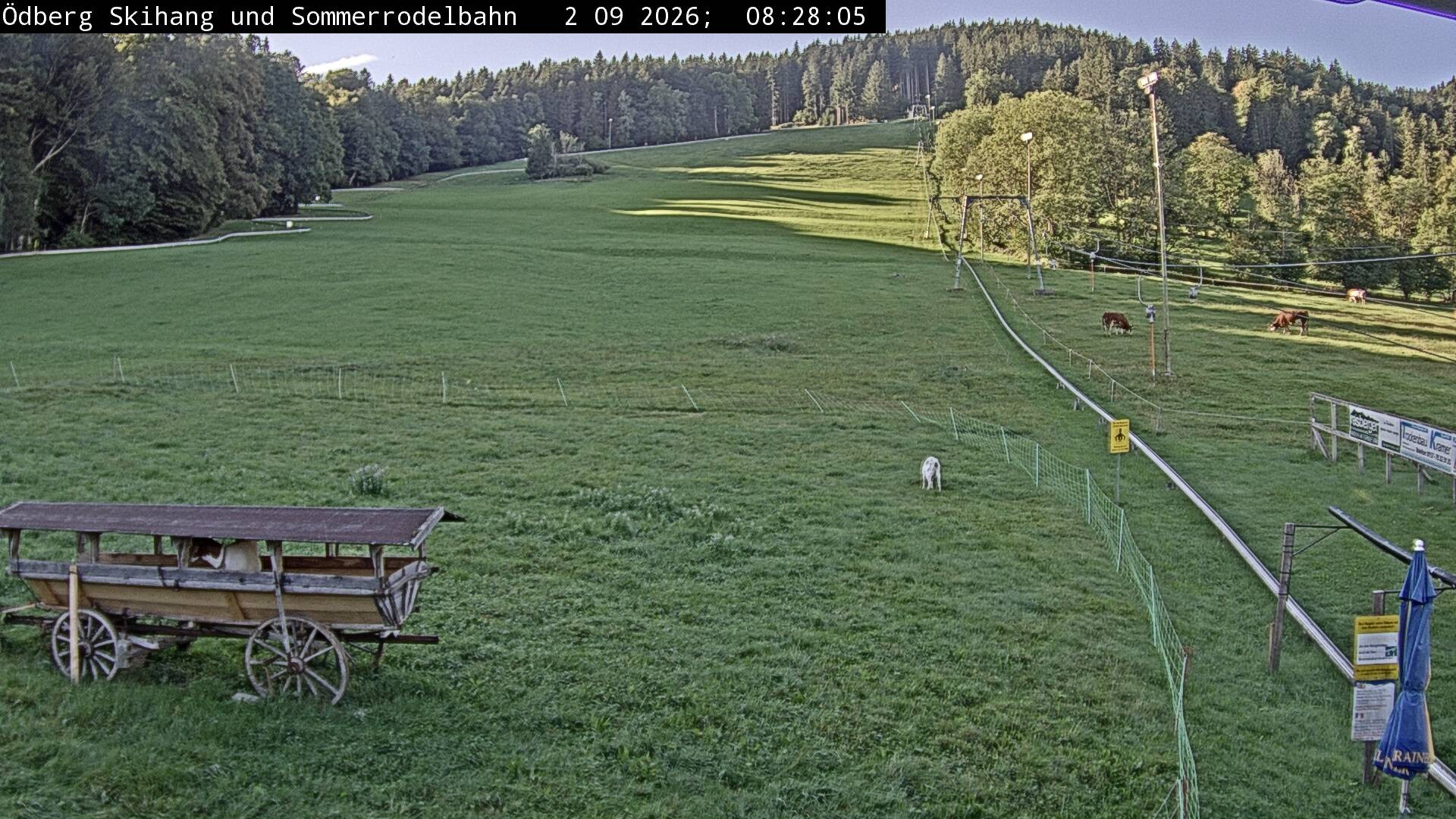 Archiv Foto Webcam Sommerrodelbahn Ödberg