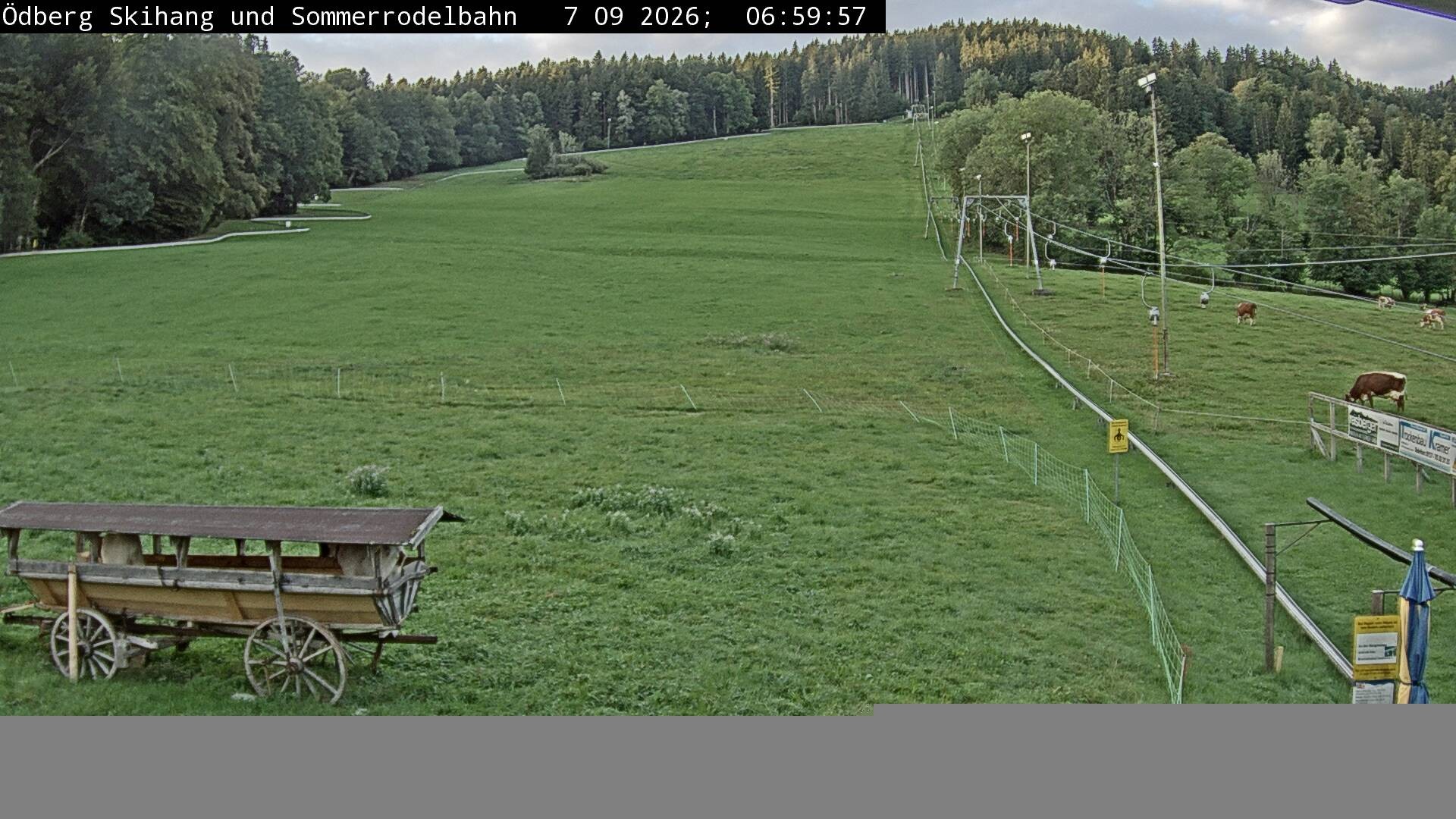 Archiv Foto Webcam Sommerrodelbahn Ödberg