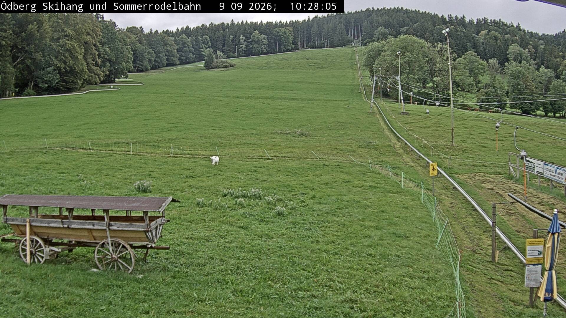 Archiv Foto Webcam Sommerrodelbahn Ödberg