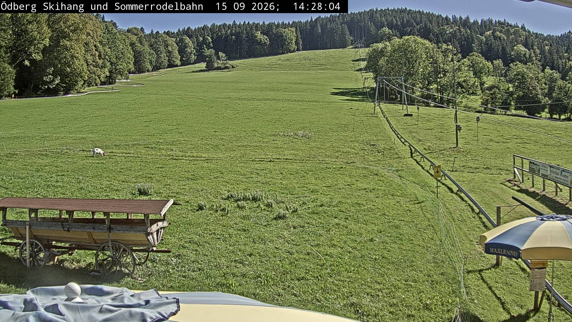 Archiv Foto Webcam Sommerrodelbahn Ödberg
