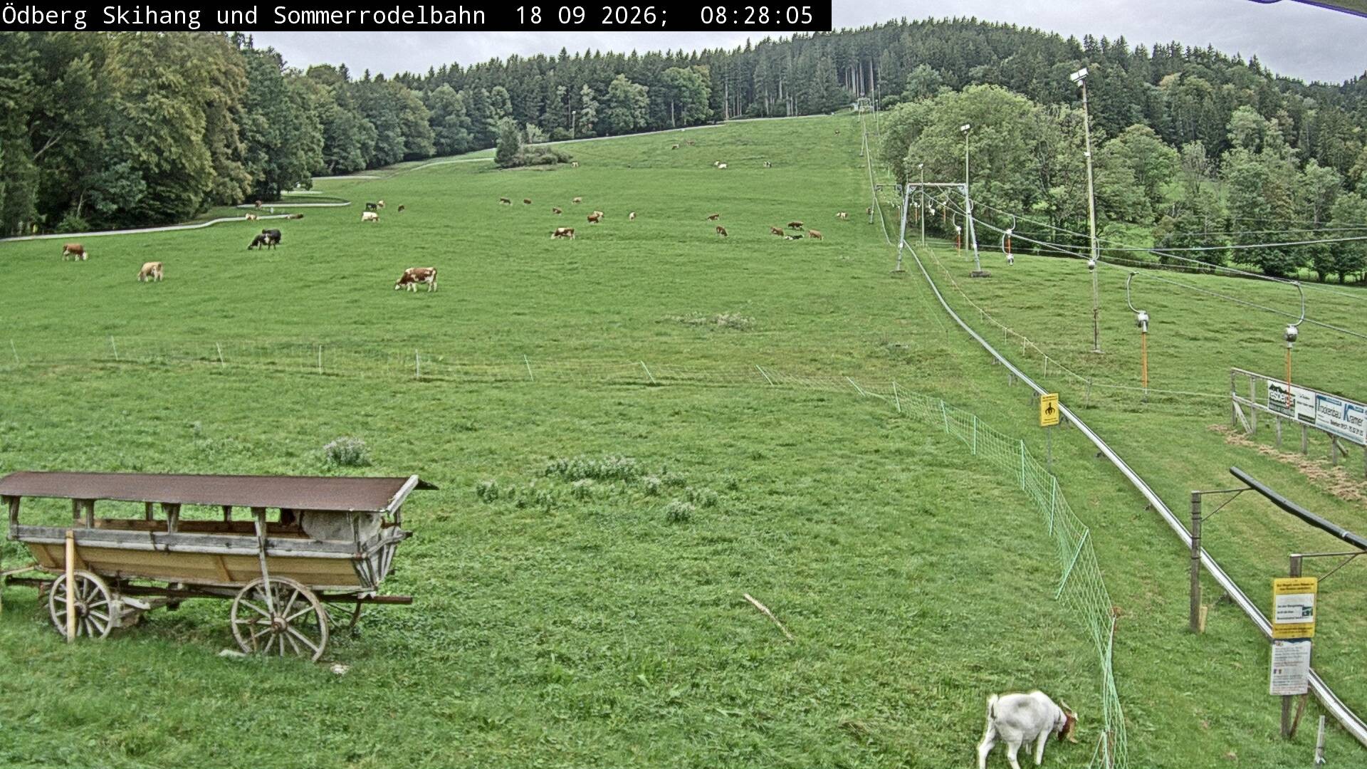 Archiv Foto Webcam Sommerrodelbahn Ödberg