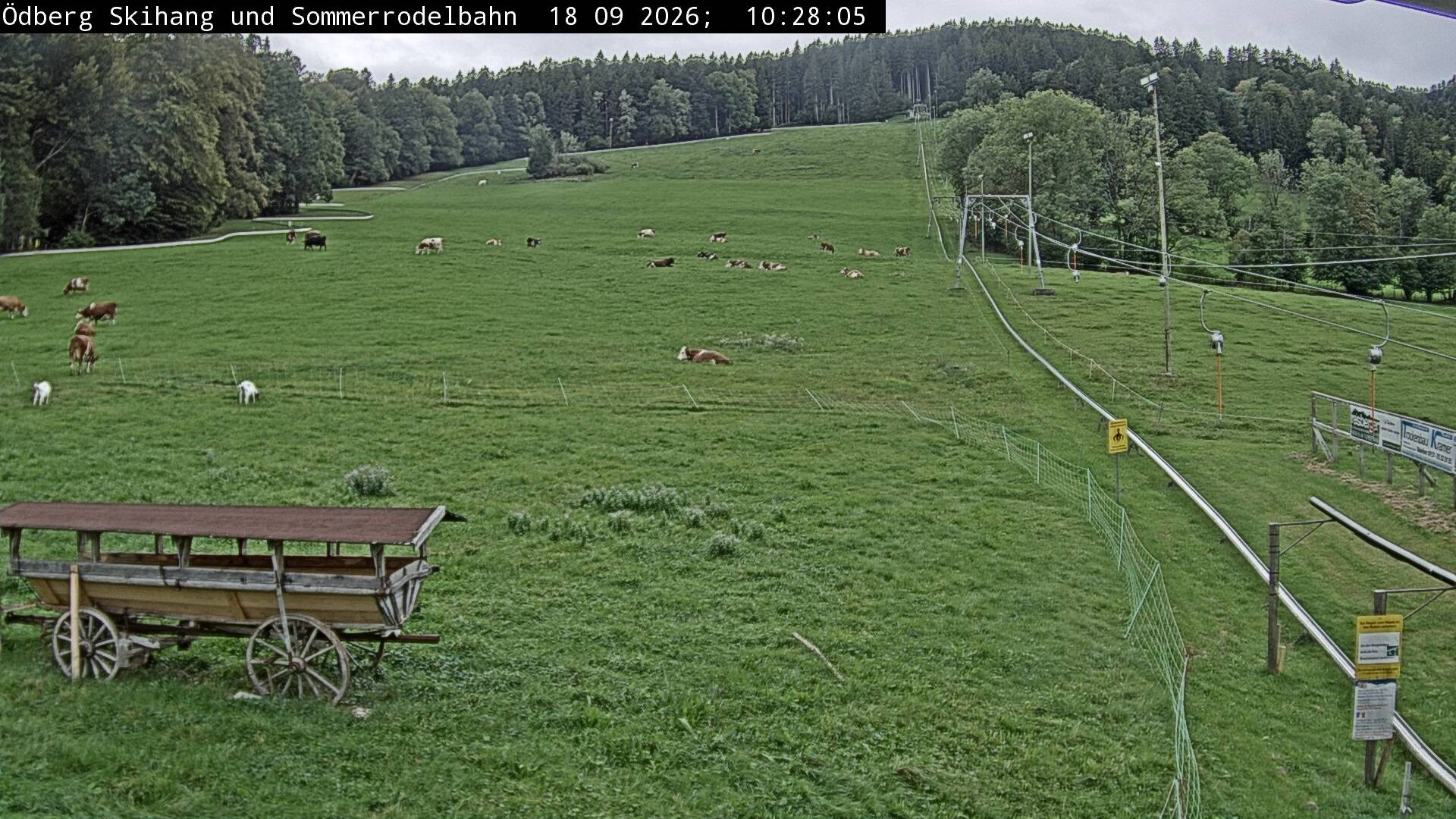Archiv Foto Webcam Sommerrodelbahn Ödberg