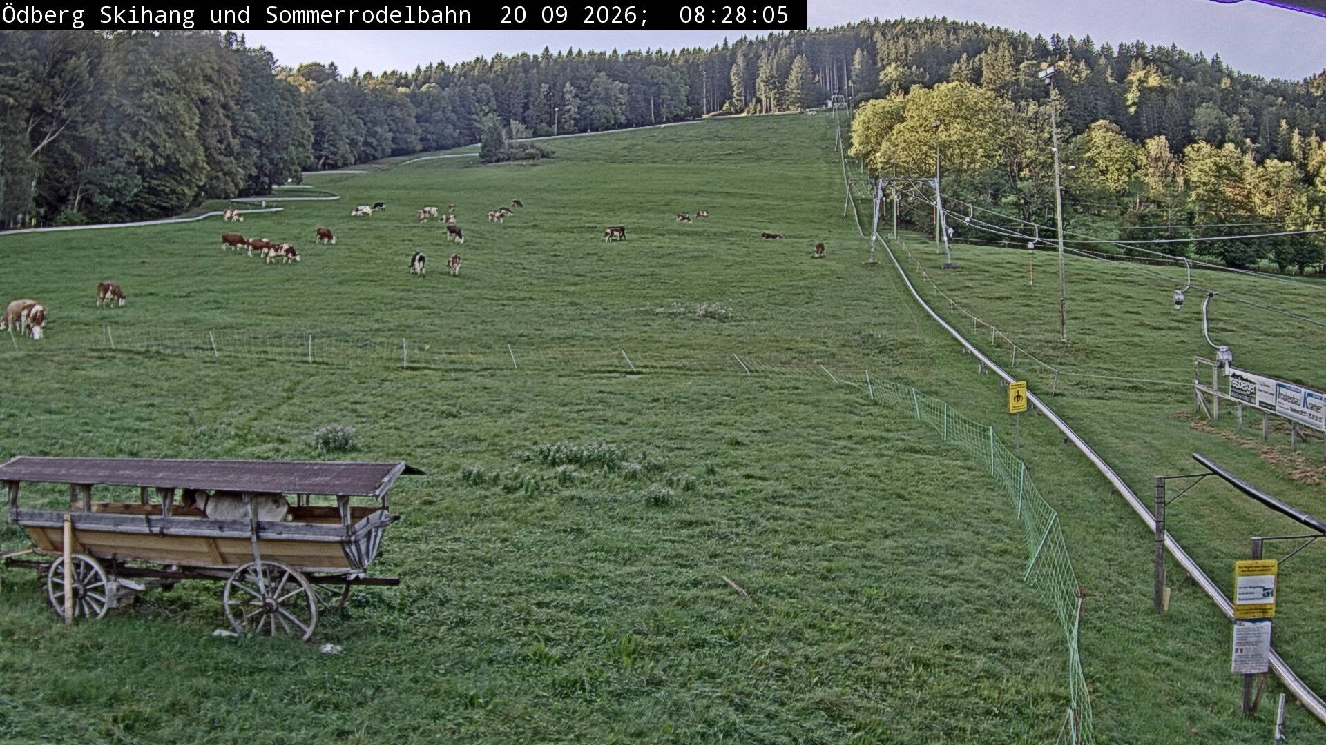 Archived image Webcam Alpine Slide Ödberg-Flizzer