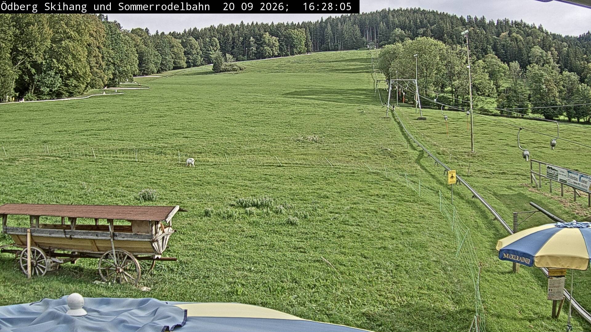 Archiv Foto Webcam Sommerrodelbahn Ödberg