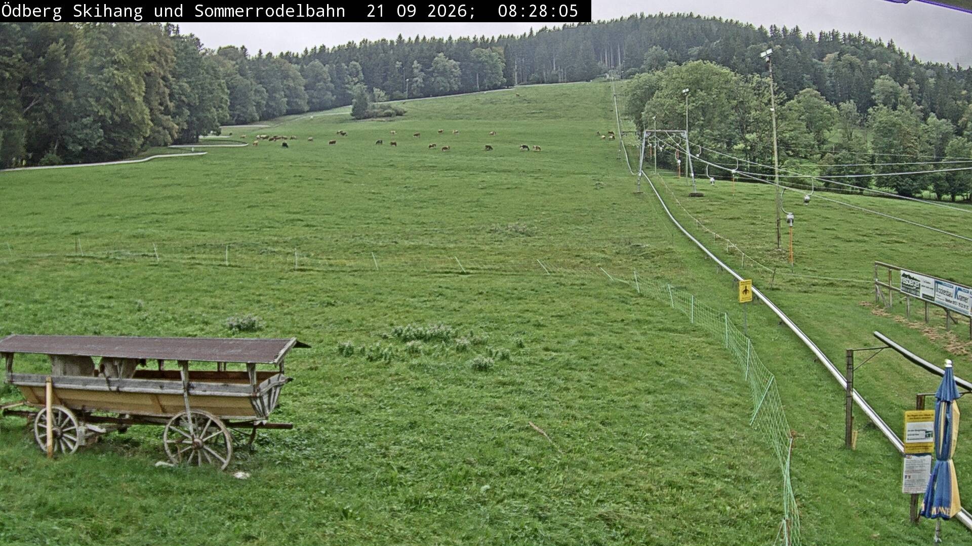 Archiv Foto Webcam Sommerrodelbahn Ödberg