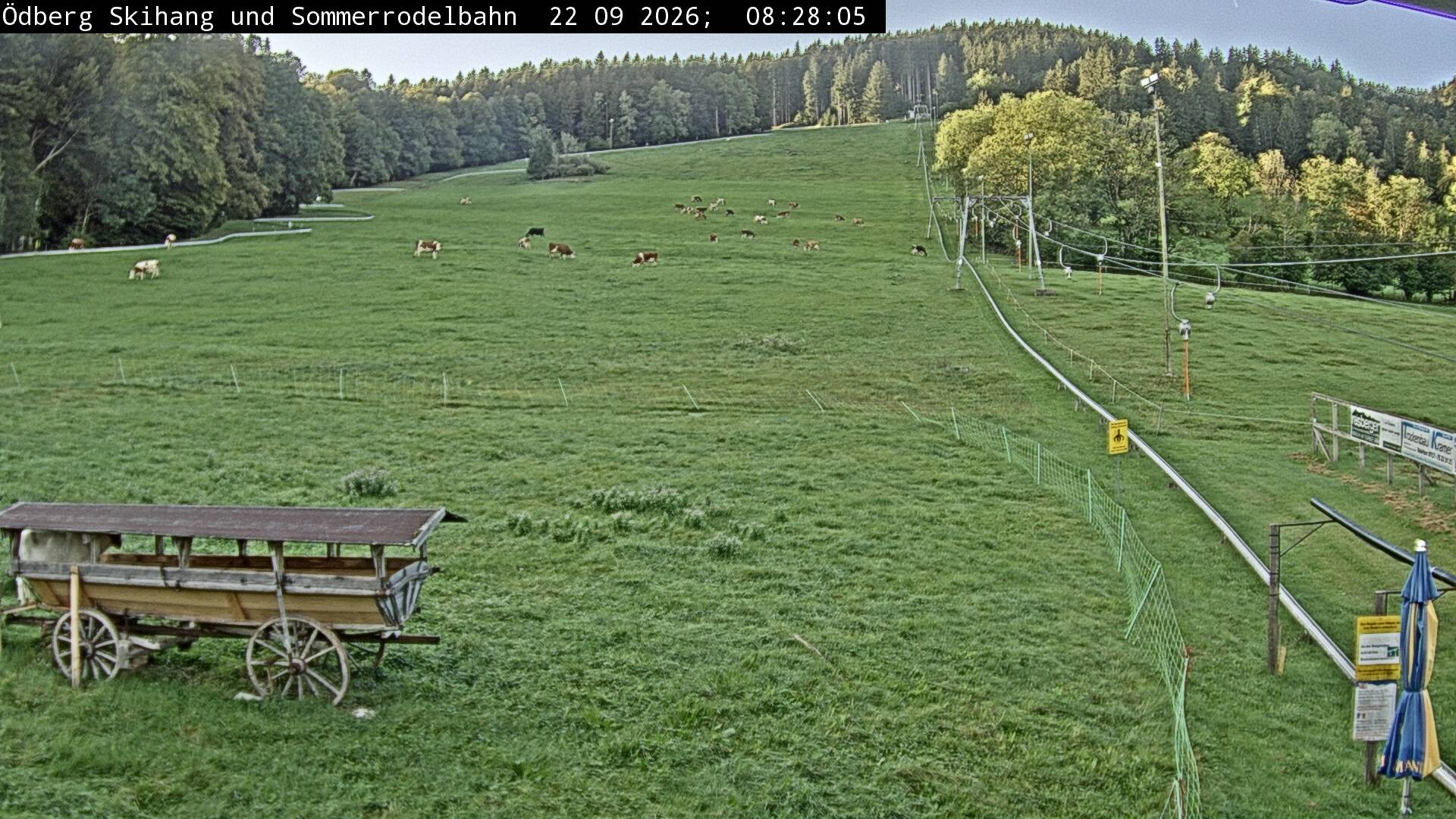 Archiv Foto Webcam Sommerrodelbahn Ödberg