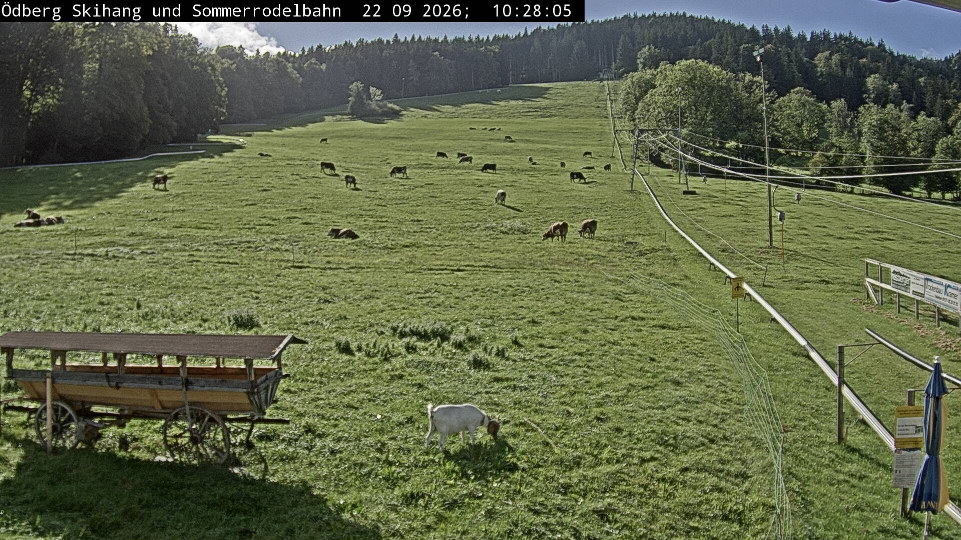 Archiv Foto Webcam Sommerrodelbahn Ödberg
