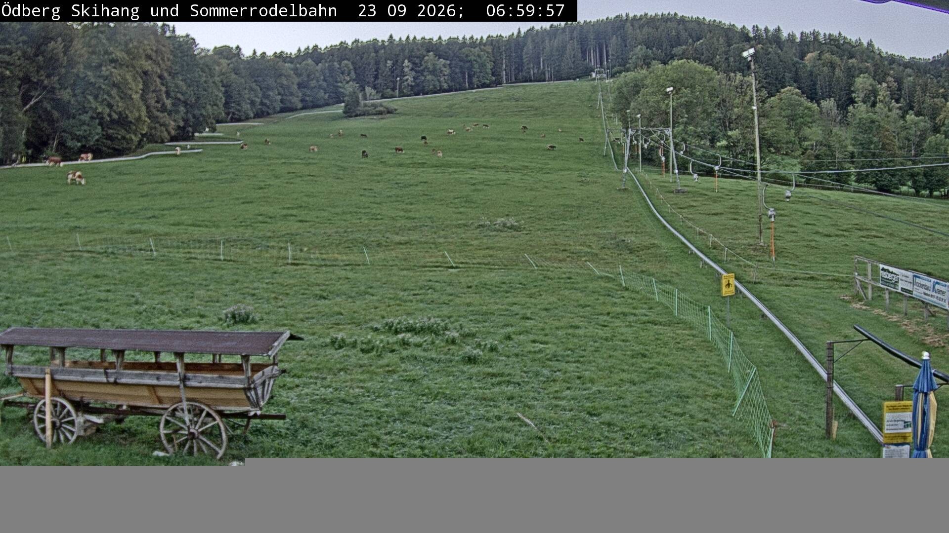 Archiv Foto Webcam Sommerrodelbahn Ödberg
