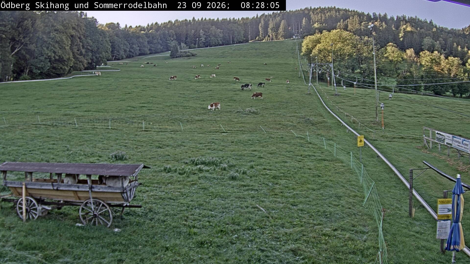Archiv Foto Webcam Sommerrodelbahn Ödberg