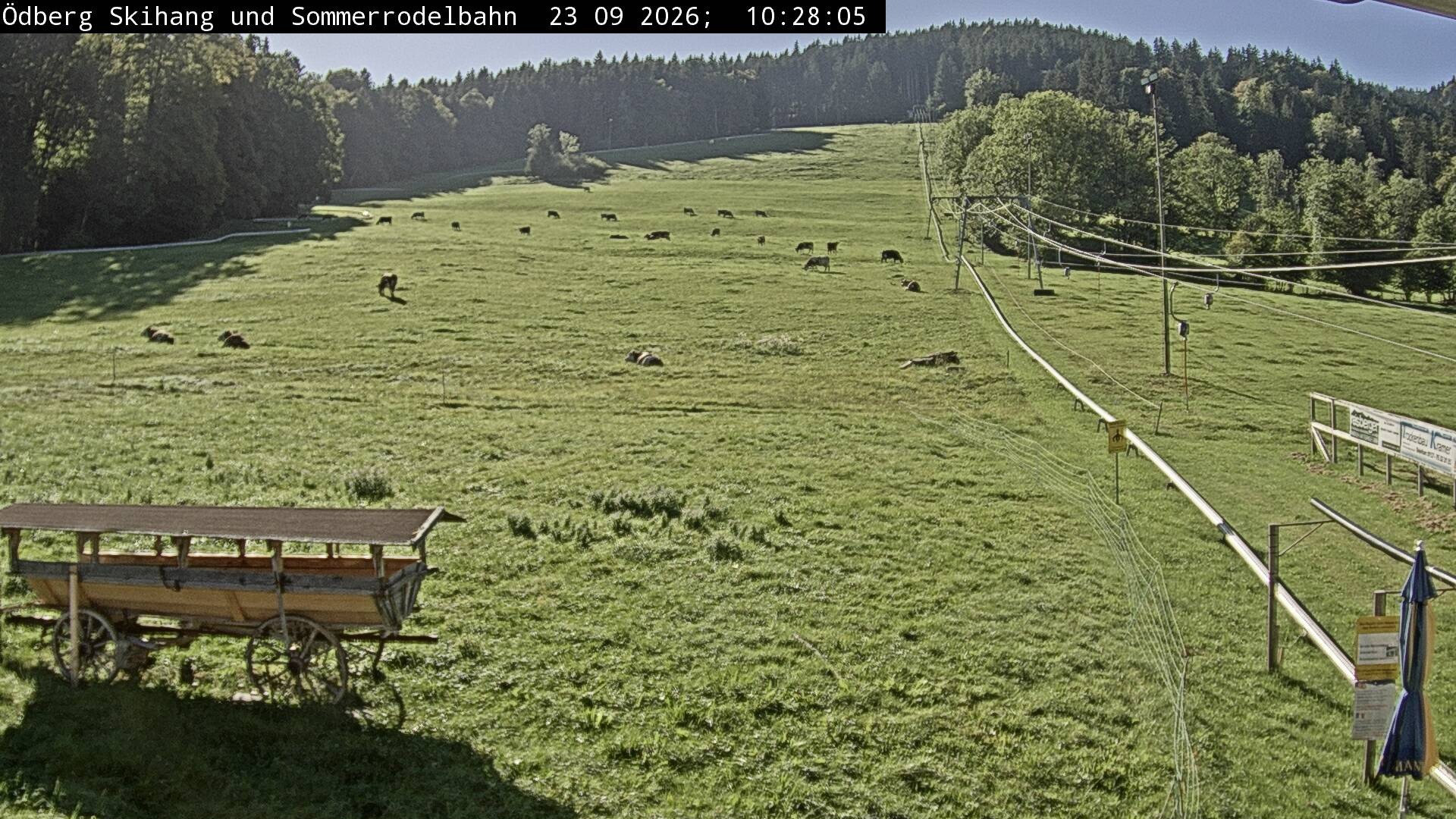 Archiv Foto Webcam Sommerrodelbahn Ödberg