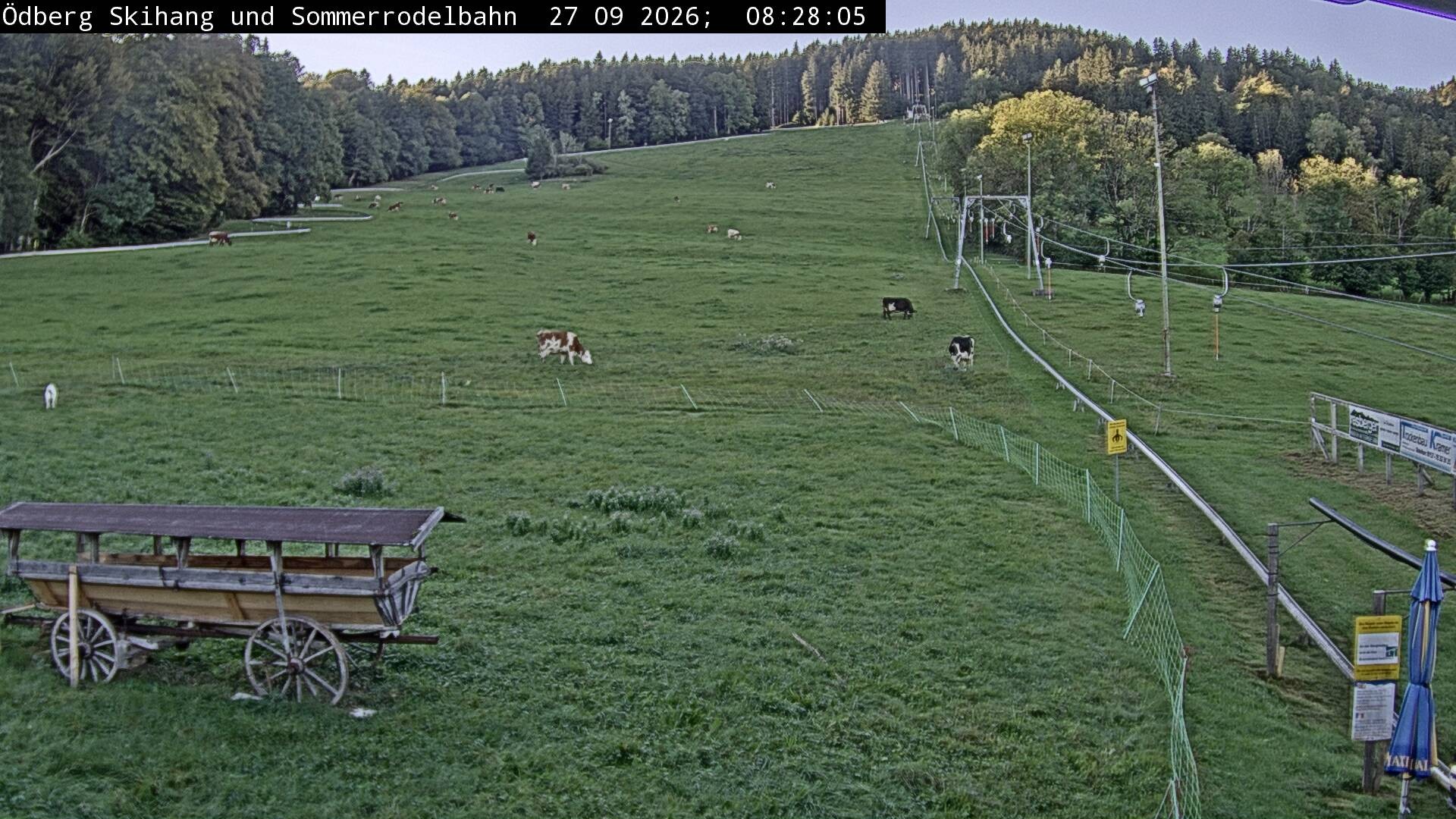 Archiv Foto Webcam Sommerrodelbahn Ödberg