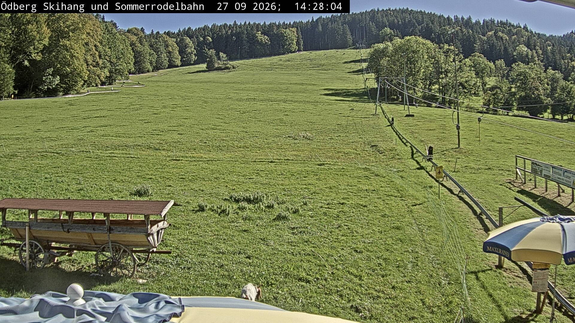 Archiv Foto Webcam Sommerrodelbahn Ödberg