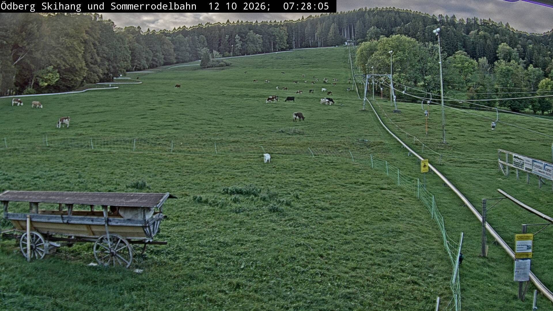 Archiv Foto Webcam Sommerrodelbahn Ödberg