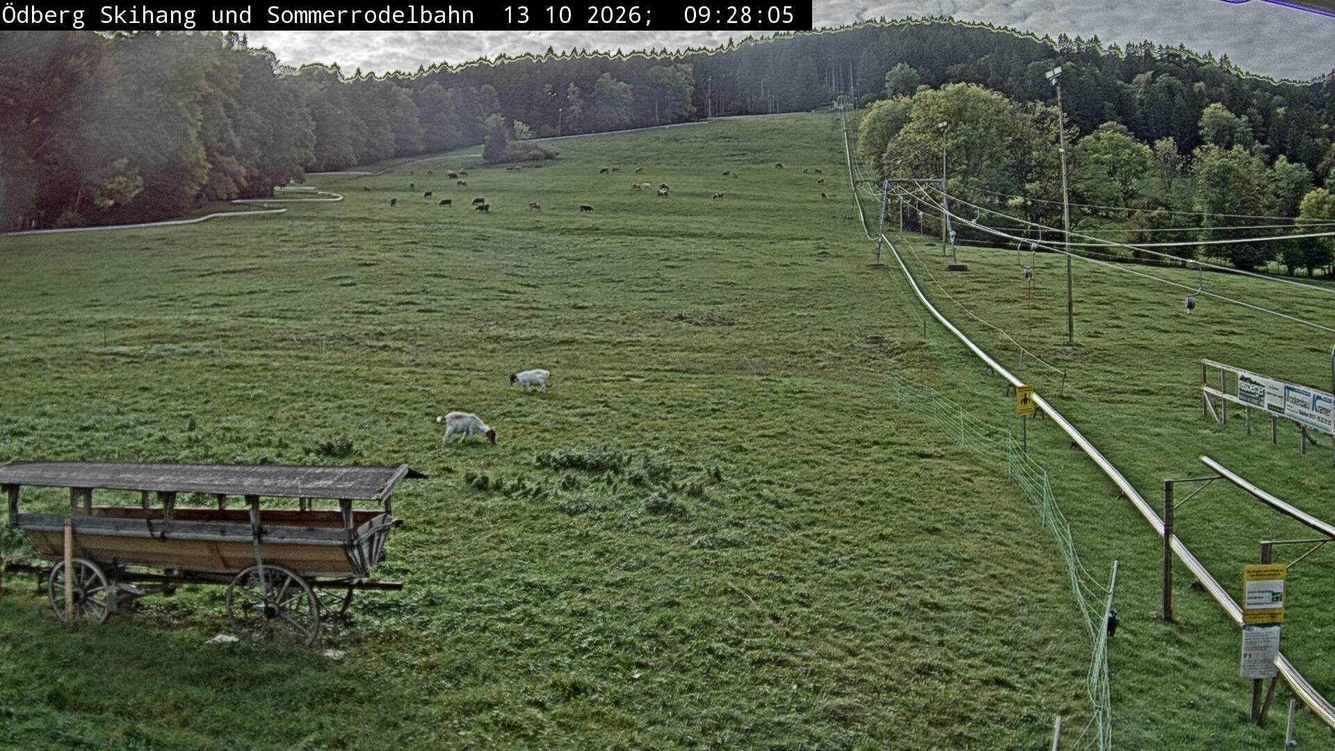 Archiv Foto Webcam Sommerrodelbahn Ödberg