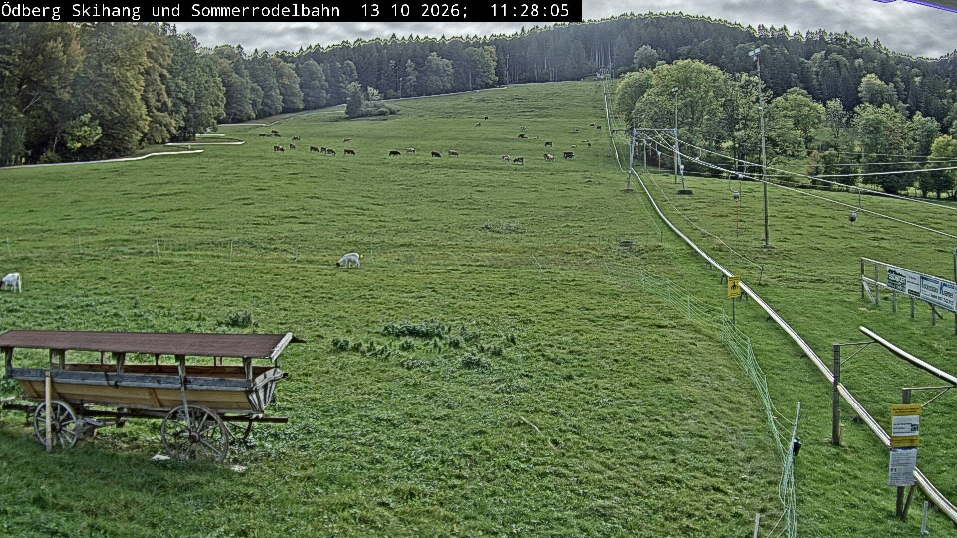 Archiv Foto Webcam Sommerrodelbahn Ödberg