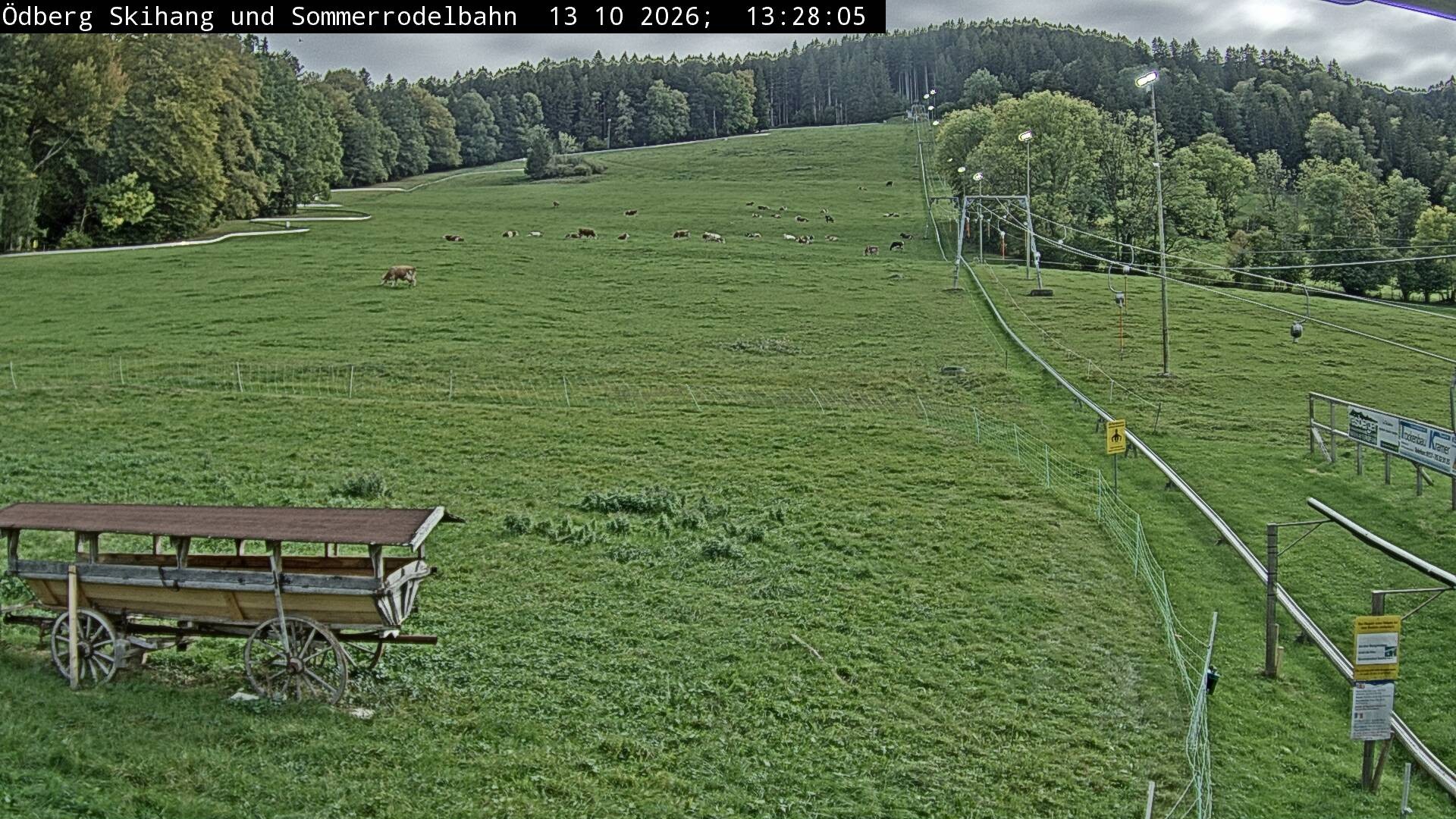 Archiv Foto Webcam Sommerrodelbahn Ödberg