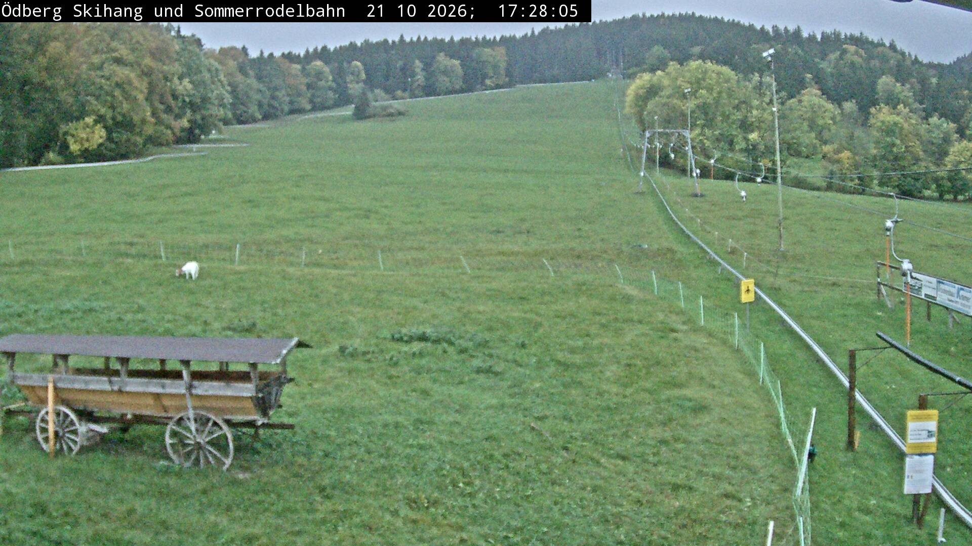 Archiv Foto Webcam Sommerrodelbahn Ödberg