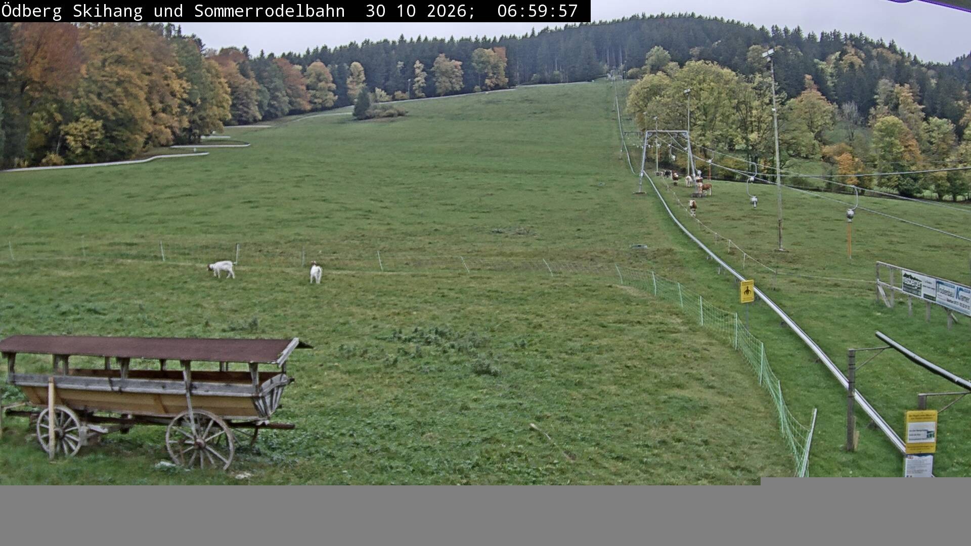 Archiv Foto Webcam Sommerrodelbahn Ödberg