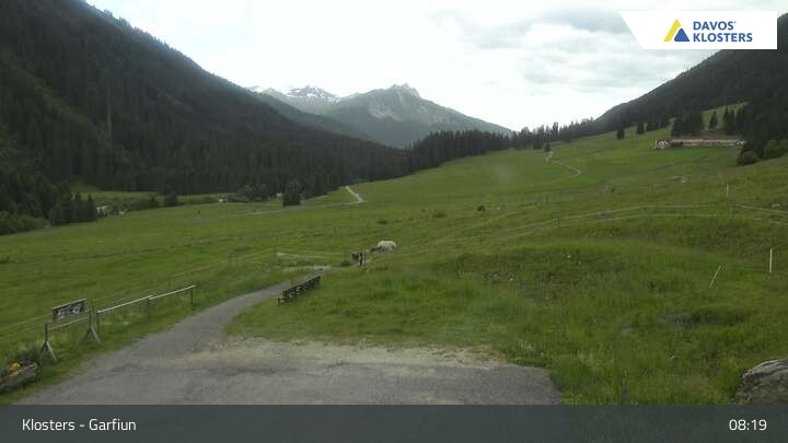 Archiv Foto Webcam Alp Garfiun - Klosters