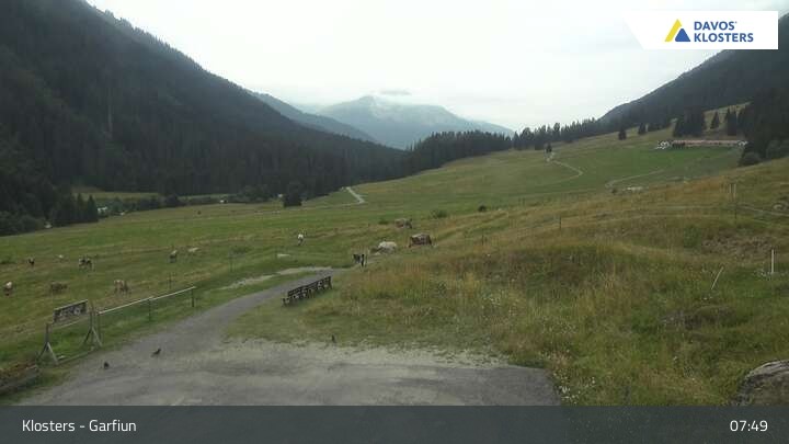 Archiv Foto Webcam Alp Garfiun - Klosters