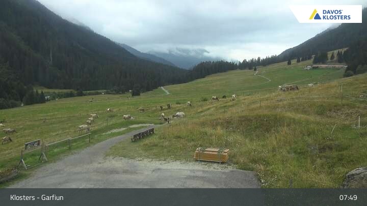 Archiv Foto Webcam Alp Garfiun - Klosters