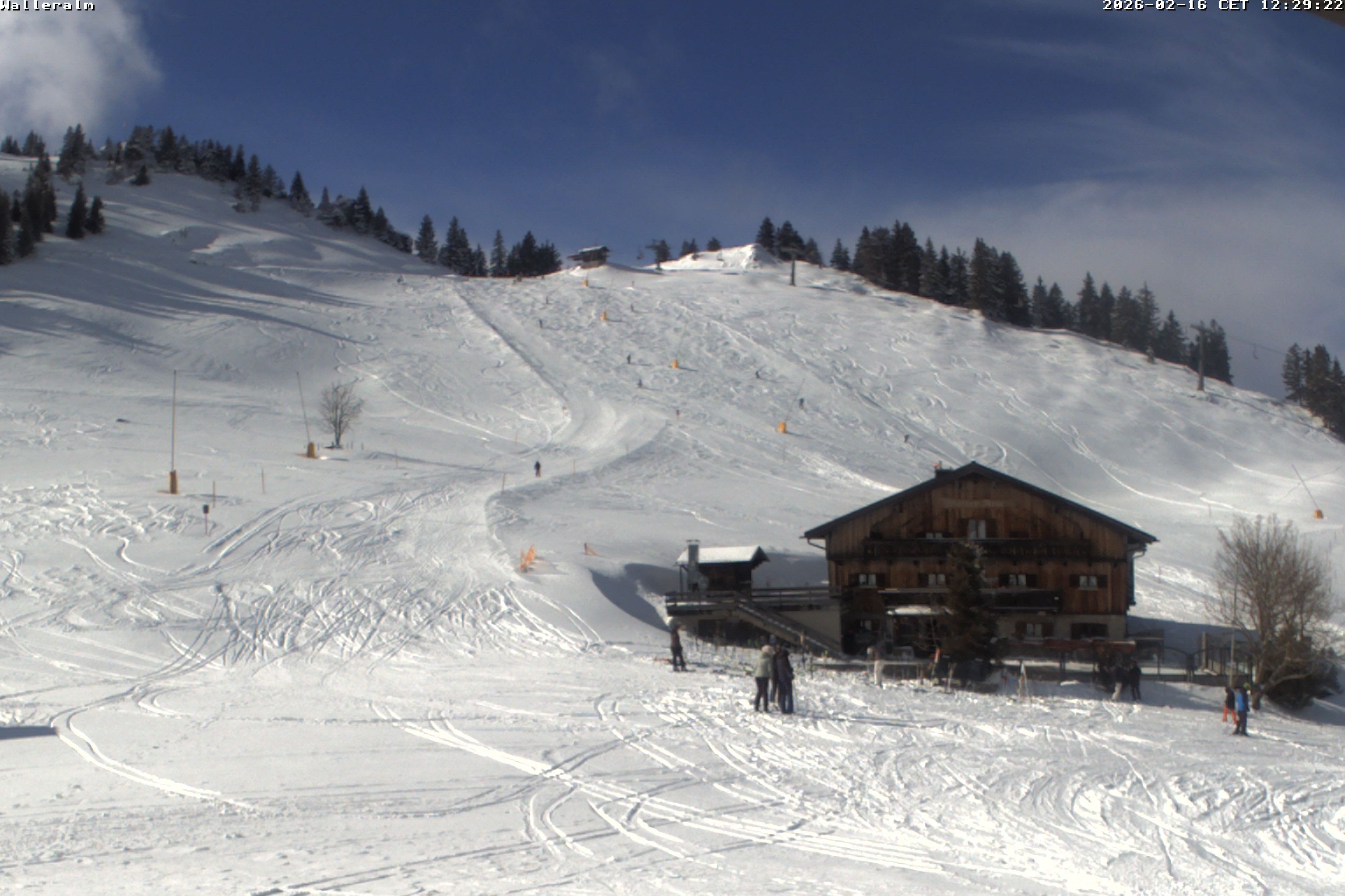 Archiv Foto Webcam Walleralm im Oberen Sudelfeld