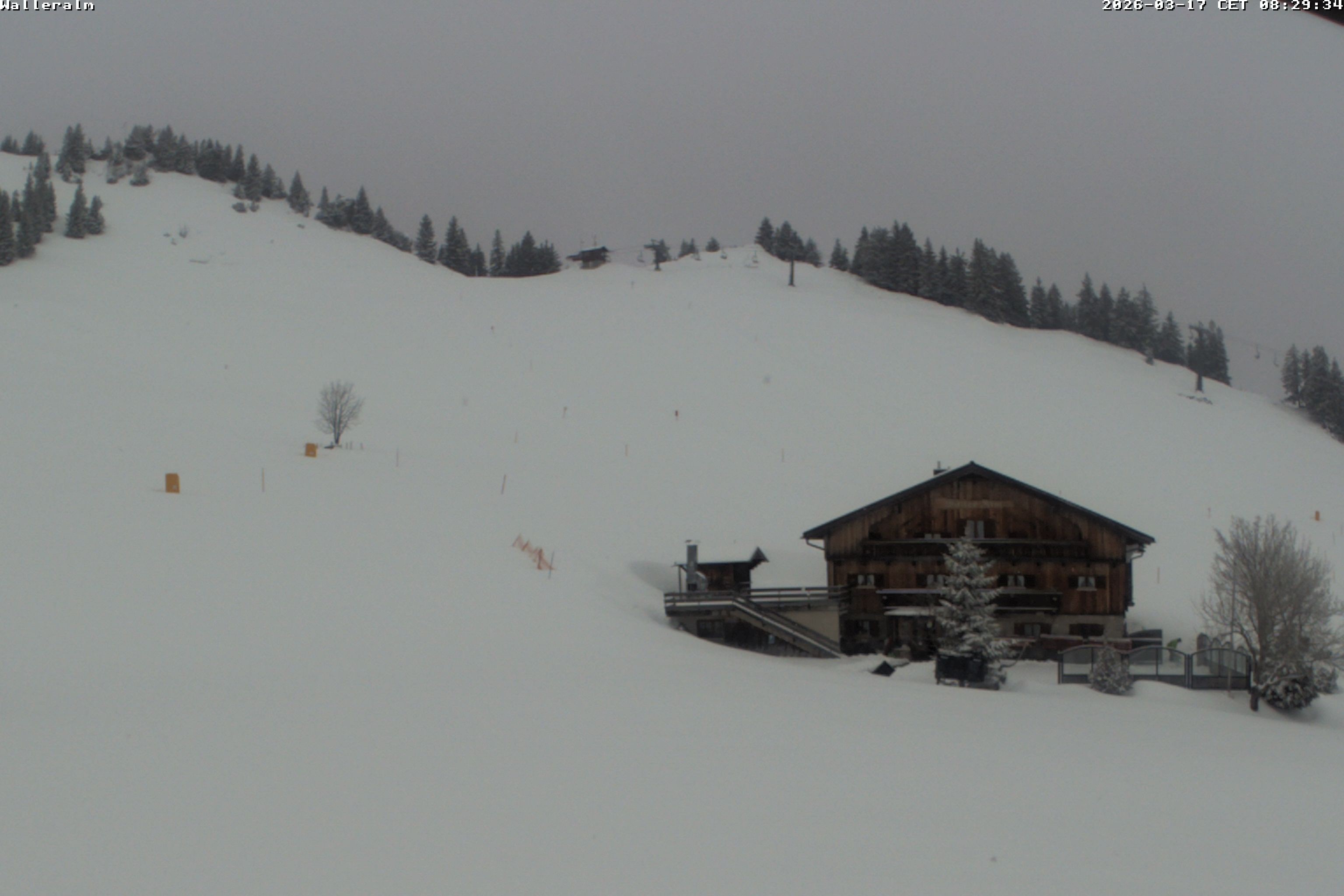 Archiv Foto Webcam Walleralm im Oberen Sudelfeld