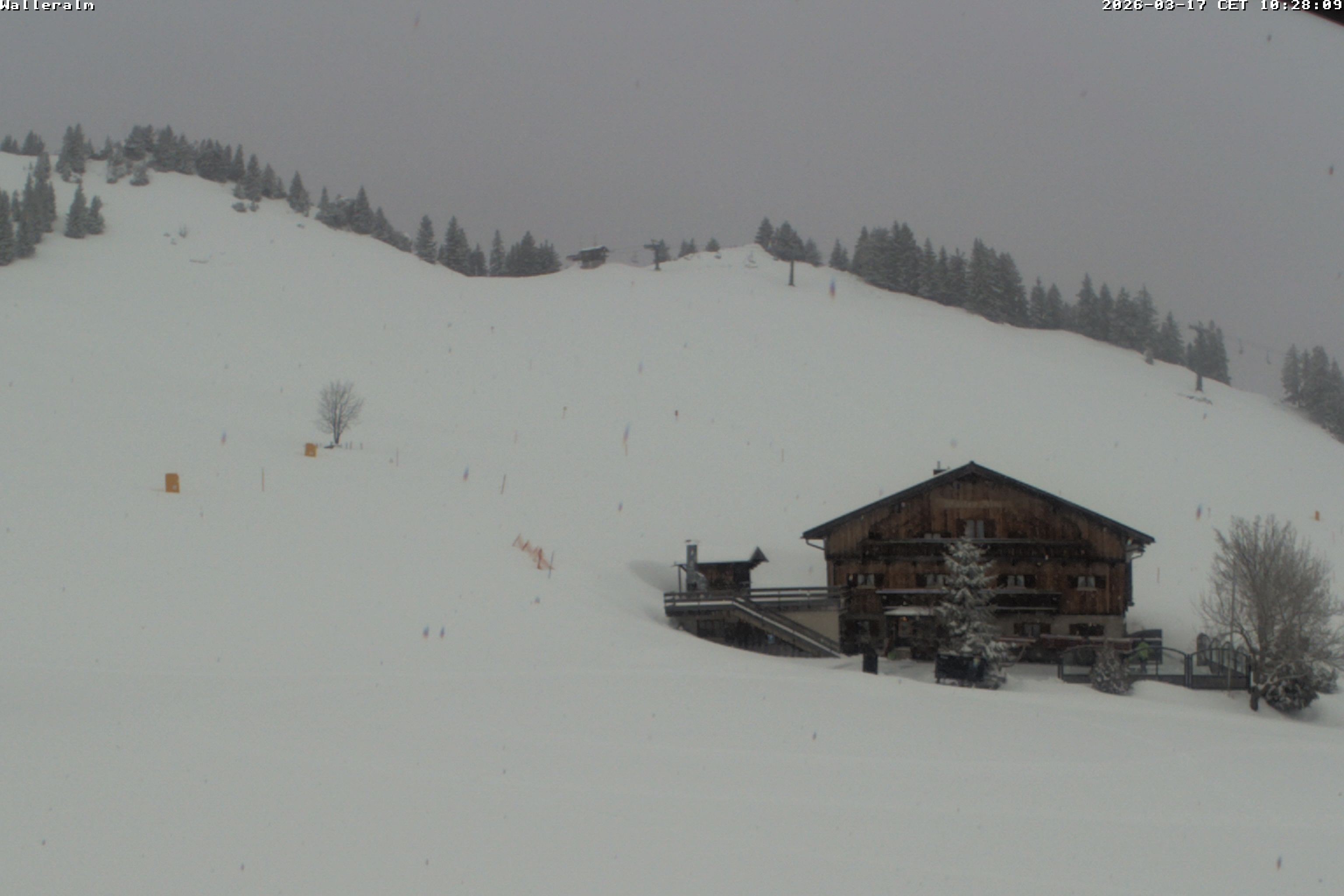 Archiv Foto Webcam Walleralm im Oberen Sudelfeld