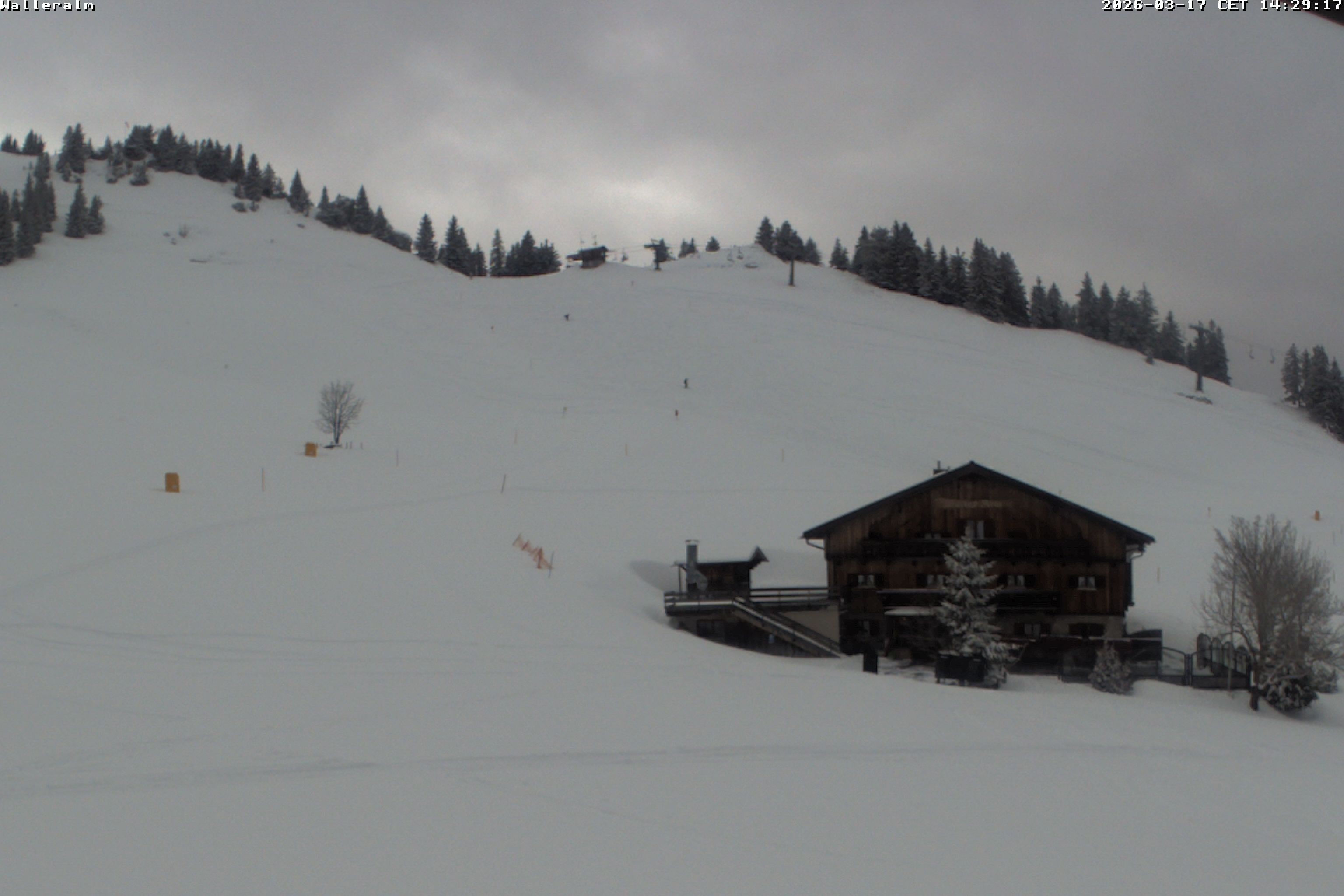 Archiv Foto Webcam Walleralm im Oberen Sudelfeld