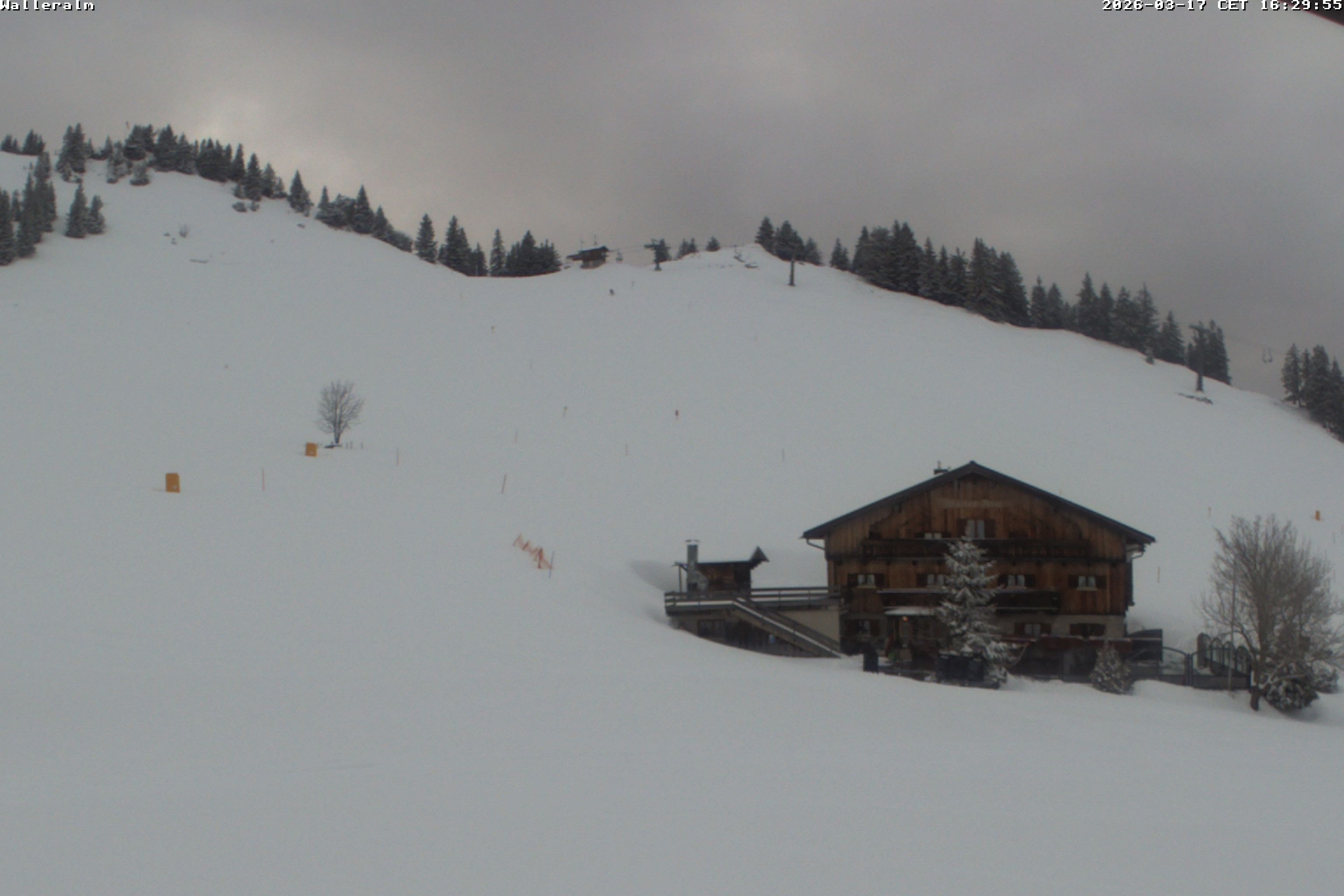 Archiv Foto Webcam Walleralm im Oberen Sudelfeld